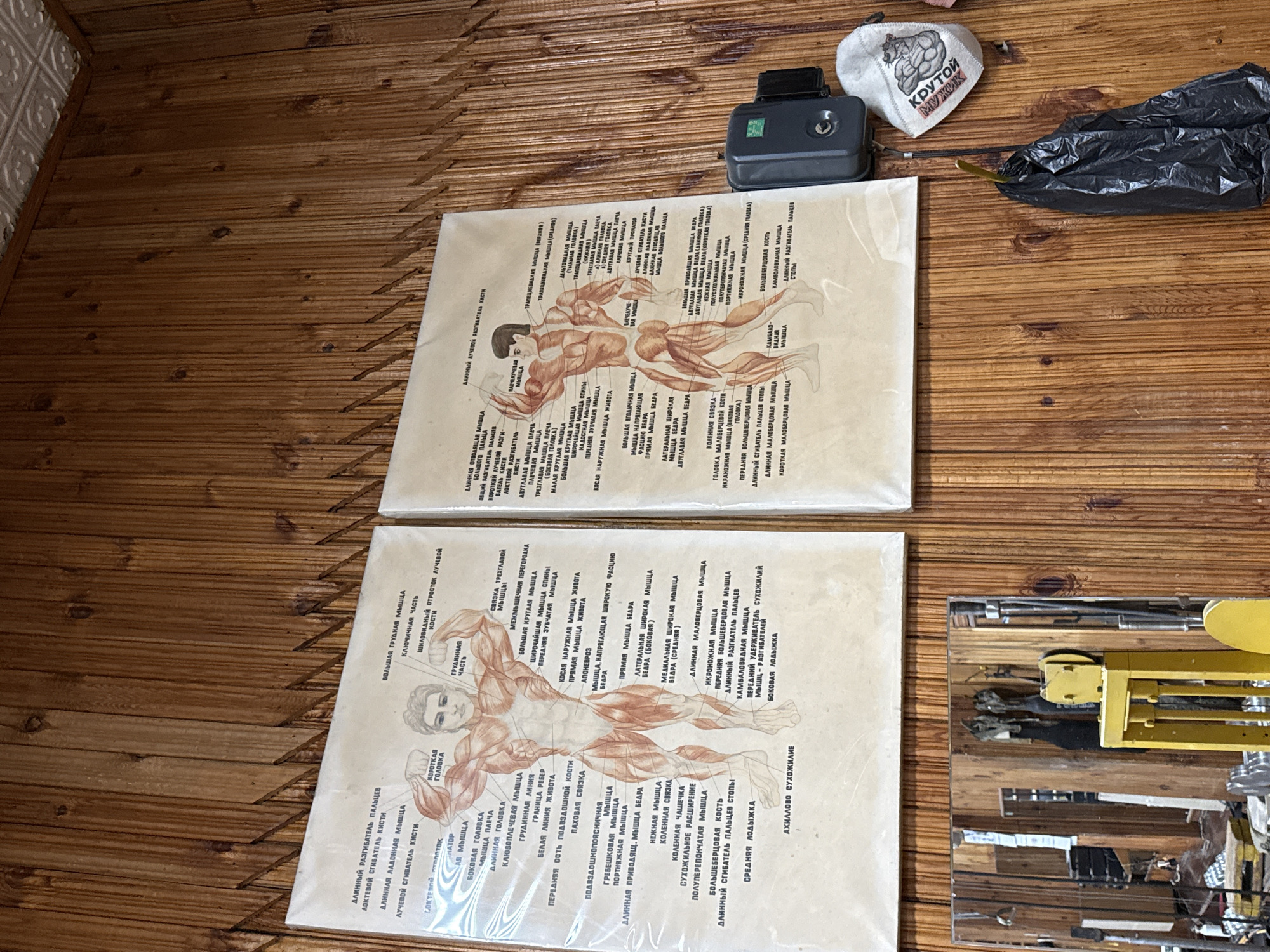 The image shows two anatomical charts of the human muscular system hanging on a wood-paneled wall. The charts are detailed and feature illustrations of muscular figures with labels in Russian. To the right of the charts, a black plastic bag hangs from a hook on the wall. Below the charts and to the left, a large mirror reflects the interior of what appears to be a gym, showing various workout equipment and wooden structures. On the wall, to the right of the charts, a small, light-colored pouch with a graphic and Russian text is attached. A black electronic device is mounted on the wall to the right of the charts. The overall environment suggests a fitness or training facility, potentially a gym or a fitness studio. The city of Kazan, Russia, is mentioned in the prompt, but there is no visual information within the image itself to confirm this specific location.