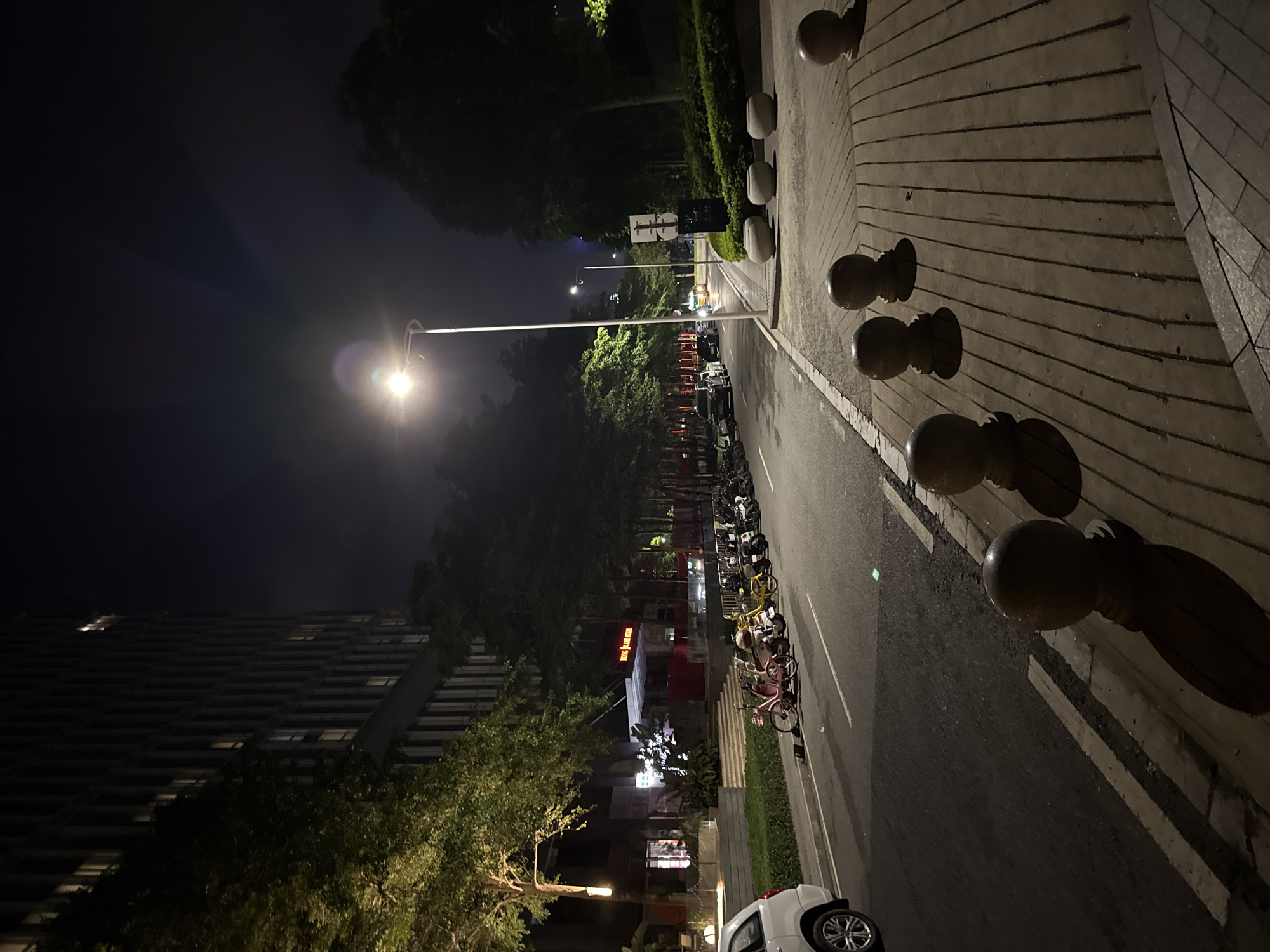 This is a nighttime, high-angle shot of a street scene in Haizhu District, China. The street is paved with stone tiles and lined with decorative spherical bollards. The road itself is asphalt and wet, reflecting the ambient light. Along the side of the road, parked bicycles and scooters are visible, some illuminated by the streetlights.
In the background, trees and greenery are abundant, creating a slightly shadowy and natural contrast to the urban elements. A tall, modern building with many windows is visible on the left, its facade dark against the night sky. Several streetlights are illuminating the scene, casting pools of light and long shadows. The sky is dark, indicating it is nighttime.
There appears to be a small shop or restaurant with illuminated signage in the middle ground. The overall atmosphere is quiet and urban, with a sense of everyday life continuing after dark. The wet road suggests recent rain. No people are explicitly visible, but the presence of parked vehicles implies recent activity.