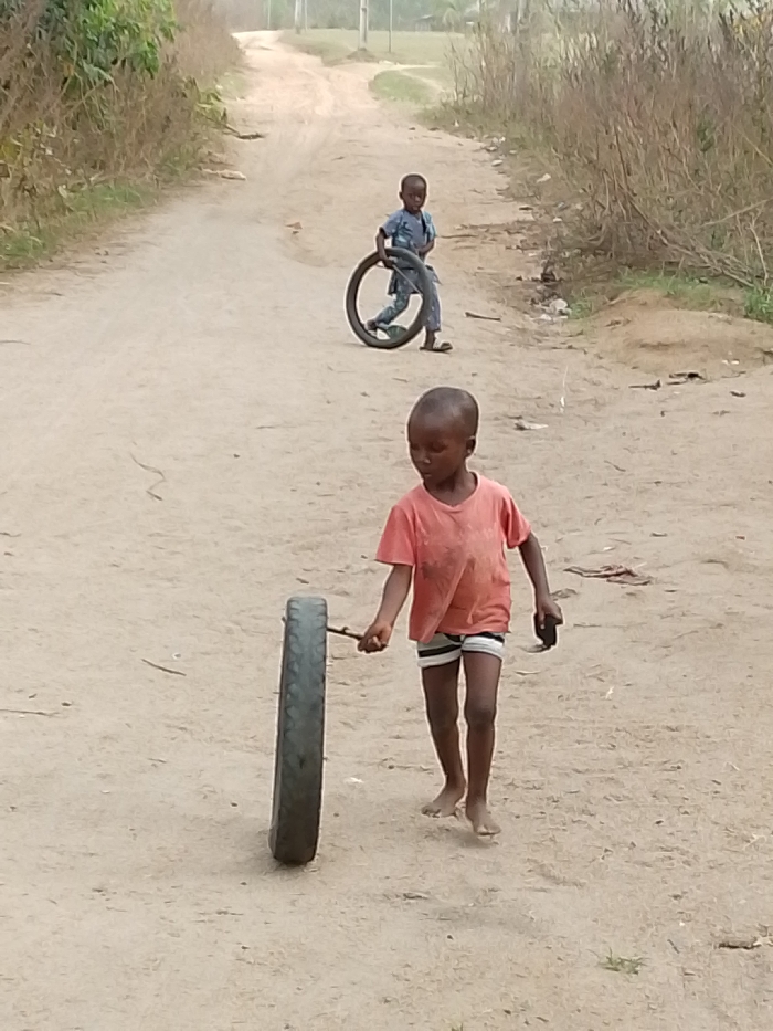 The image depicts an outdoor scene featuring two young boys playing on a dirt path. The setting appears to be a rural or semi-rural area, characterized by an unpaved road and wild vegetation.
In the foreground, a young boy with dark skin, wearing an orange/red t-shirt and striped shorts, is walking barefoot on the dusty ground. He is focused on rolling a dark-colored tire, possibly a small car or motorcycle tire, using a wooden stick held in his right hand to guide it. His left hand is casually held at his side. He is looking down and slightly to his left, concentrating on his activity.
Further down the winding dirt path, another boy with dark skin is visible. He is wearing a blue or grey long-sleeved shirt and matching trousers, along with sandals on his feet. This boy is holding a larger dark-colored tire, which he appears to be either carrying or preparing to roll. He is looking generally in the direction of the foreground boy or slightly off to the side.
The path itself is wide and unpaved, with visible tire tracks or footpaths ingrained in the dry soil. On either side of the path, there is sparse, dry-looking vegetation, including grasses and small shrubs, suggesting a dry climate. In the distant background, the path continues uphill, and more trees or denser vegetation can be seen, though the view is somewhat hazy.
The lighting suggests it is daytime, with soft, diffused light indicating either an overcast sky or a high sun without harsh shadows. The overall impression is one of simple childhood play in an unassuming, natural environment. There is no visible text in the image.