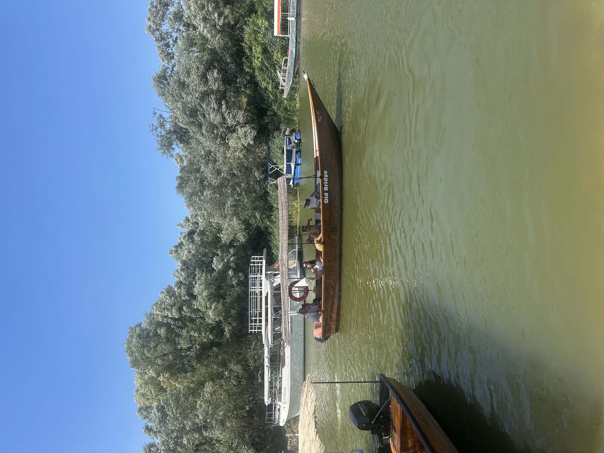 In the city of Boljevići, Montenegro, a bright, sunny day unfolds on a river, with a clear blue sky overhead. The river is bordered by lush green trees, their leaves a vibrant testament to the summer season. Several boats are present on the water, some moving and others docked.
In the foreground, a small wooden boat with a Mercury outboard motor is partially visible on the left. Further into the river, a larger, brown wooden boat named "Old Bridge" carries five passengers. One passenger in the boat is actively waving a white napkin. Behind "Old Bridge," a white, multi-decked vessel with a railing circles the water, and further back, a small blue boat with a canopy is docked. On the far right, another boat with an orange canopy is visible. The water itself is a murky green, reflecting the surrounding foliage and the bright sky. The overall scene depicts a serene, leisurely day on the river.