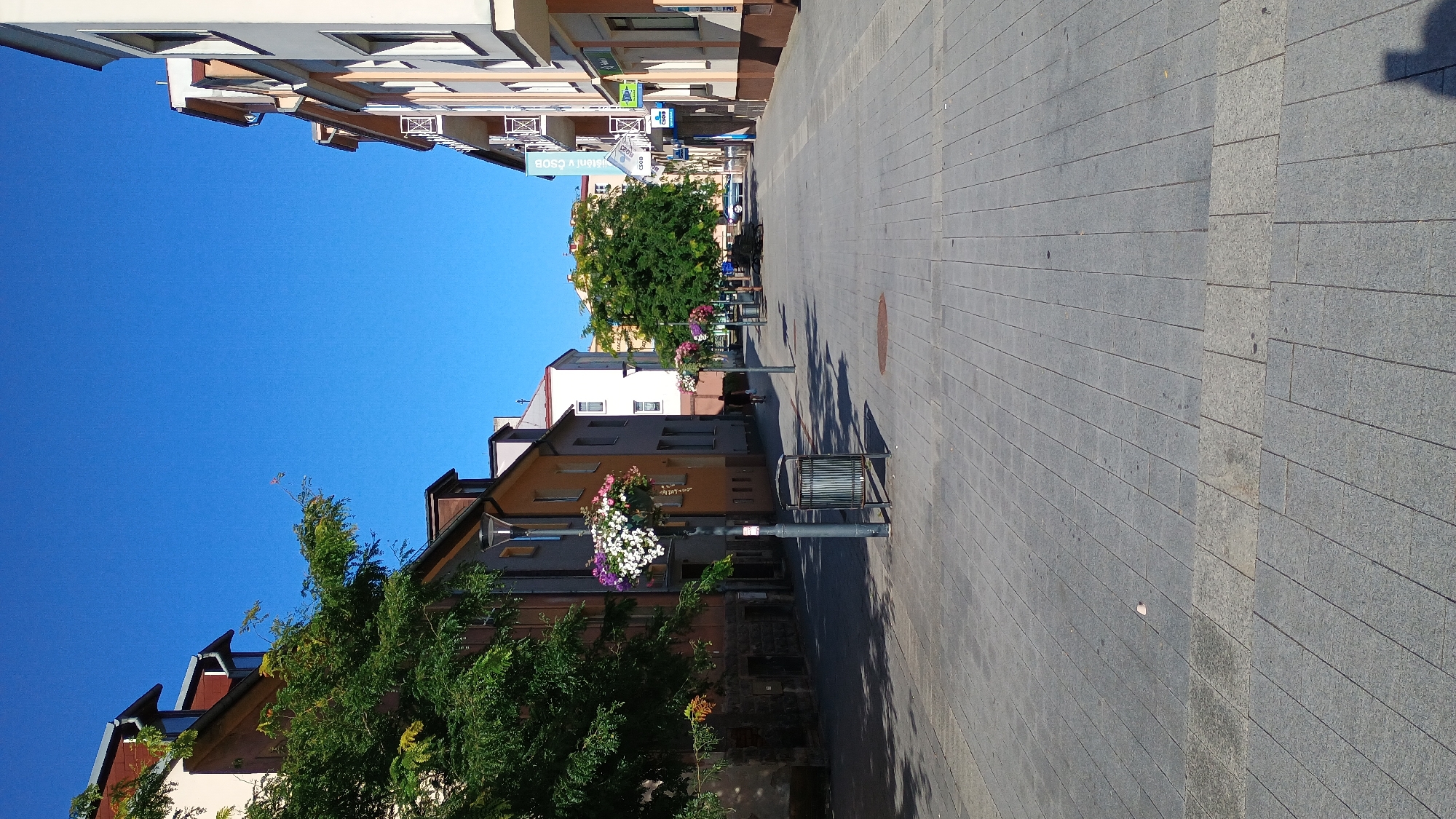 The image depicts a street scene in the city of Sokolov, Czechia, on a clear, sunny day. The street is paved with grey rectangular stones, and lined on both sides by buildings. Trees and hanging flower baskets adorn the street, adding a touch of greenery and color. On the left side of the street, there are trees with lush green foliage and a building with orange and brown facades. Hanging flower baskets with white and pink flowers are suspended from lampposts. A metal trash can is situated near one of the lampposts. Further down the street on the left, there's a building with a white facade. On the right side, buildings with beige and white facades feature balconies with decorative railings. A banner with text is visible on one of the buildings. A lone figure is walking down the street in the distance. A car is parked further down the street. The sky is a vibrant, clear blue.