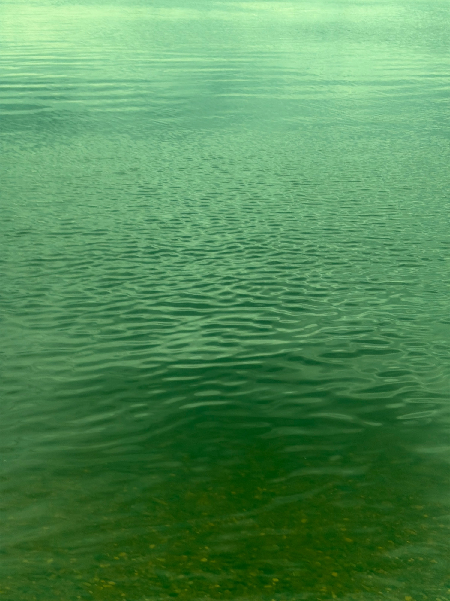 The image depicts a close-up view of the surface of green water, with subtle ripples creating a textured pattern. The water appears to be shallow, as a grainy, pebble-like texture is visible on the bottom, suggesting it is either a riverbed, lakebed, or a shallow coastal area. The lighting suggests an overcast day or a time of day with diffused sunlight. The image does not contain any people, animals, buildings, or specific landmarks that would allow for identification of its location within Arkhangelsk, Russia. The scene is purely natural, focusing on the abstract qualities of the water and its submerged elements.