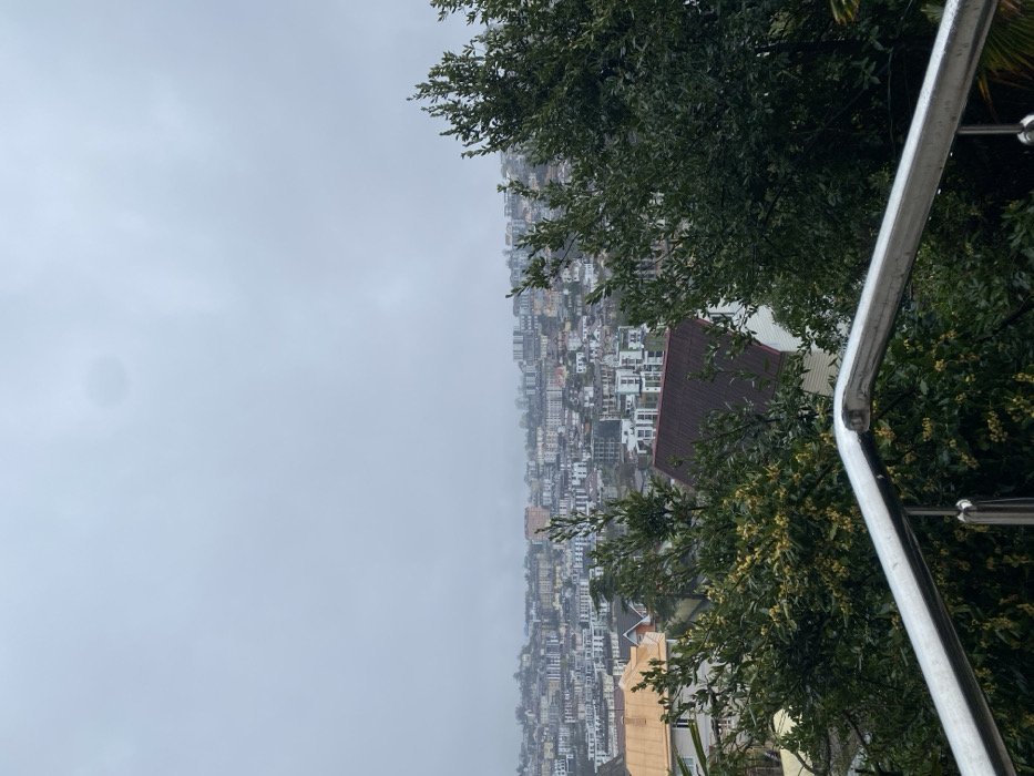 The image presents an elevated view of a densely built urban landscape in Sochi, Russia, under an overcast sky. The foreground features a wet, reflective stainless steel railing, angled from the lower left to the lower right, suggesting a balcony or terrace vantage point. Immediately behind the railing, lush green foliage and trees, some with light yellow blossoms or berries, are visible, appearing wet from recent precipitation.
The midground and background reveal a sprawling city with numerous residential and commercial buildings constructed on undulating terrain. Building facades are predominantly light-colored (white, beige, light grey), interspersed with darker roofs and balconies. Distinctive rooftops include one with an orange-brown tile roof and another with a dark red tile roof, both partially obscured by trees. The architecture varies, featuring multi-story apartment blocks and individual houses. The urban sprawl extends into the distance, with buildings becoming less distinct due to atmospheric haze or fog, which merges with the uniformly grey, featureless sky occupying the upper third of the frame. No individuals, specific actions, or interactions are discernible. The overall impression is one of a humid, cloudy day overlooking a densely populated coastal city.