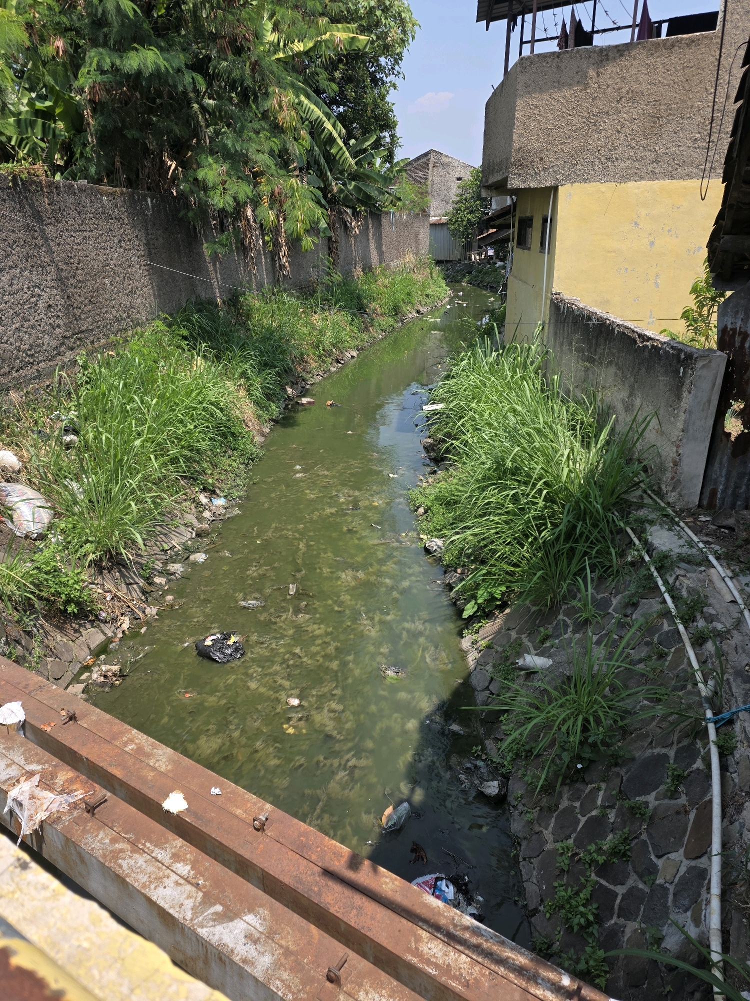A narrow, algae-filled canal flows through an urban area in Bojongsoang, Indonesia. The canal is lined with concrete walls and overgrown vegetation. Debris, including plastic bags and bottles, is visible floating in the murky green water and scattered along the banks. On the right side of the canal, a yellow building with a rough-textured upper section stands adjacent to a concrete wall. A rusty metal structure, likely a bridge or walkway, crosses the canal in the foreground. The scene depicts a neglected urban waterway with signs of pollution and poor maintenance.