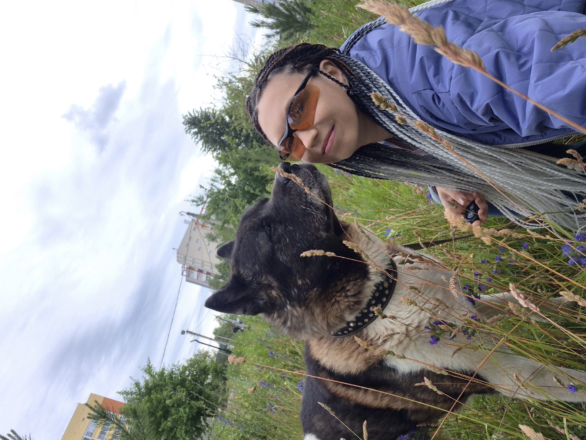 In the city of Chaikovsky, Russia, a young woman with braided gray and white hair and orange tinted sunglasses is being nuzzled by an Akita dog. The woman is wearing a blue jacket and holding a small black object in her left hand. They are in a grassy field with scattered purple flowers and tall dry grass. In the background, there are apartment buildings and trees under a cloudy sky. The image is taken from a low angle, looking up at the subjects and the sky.