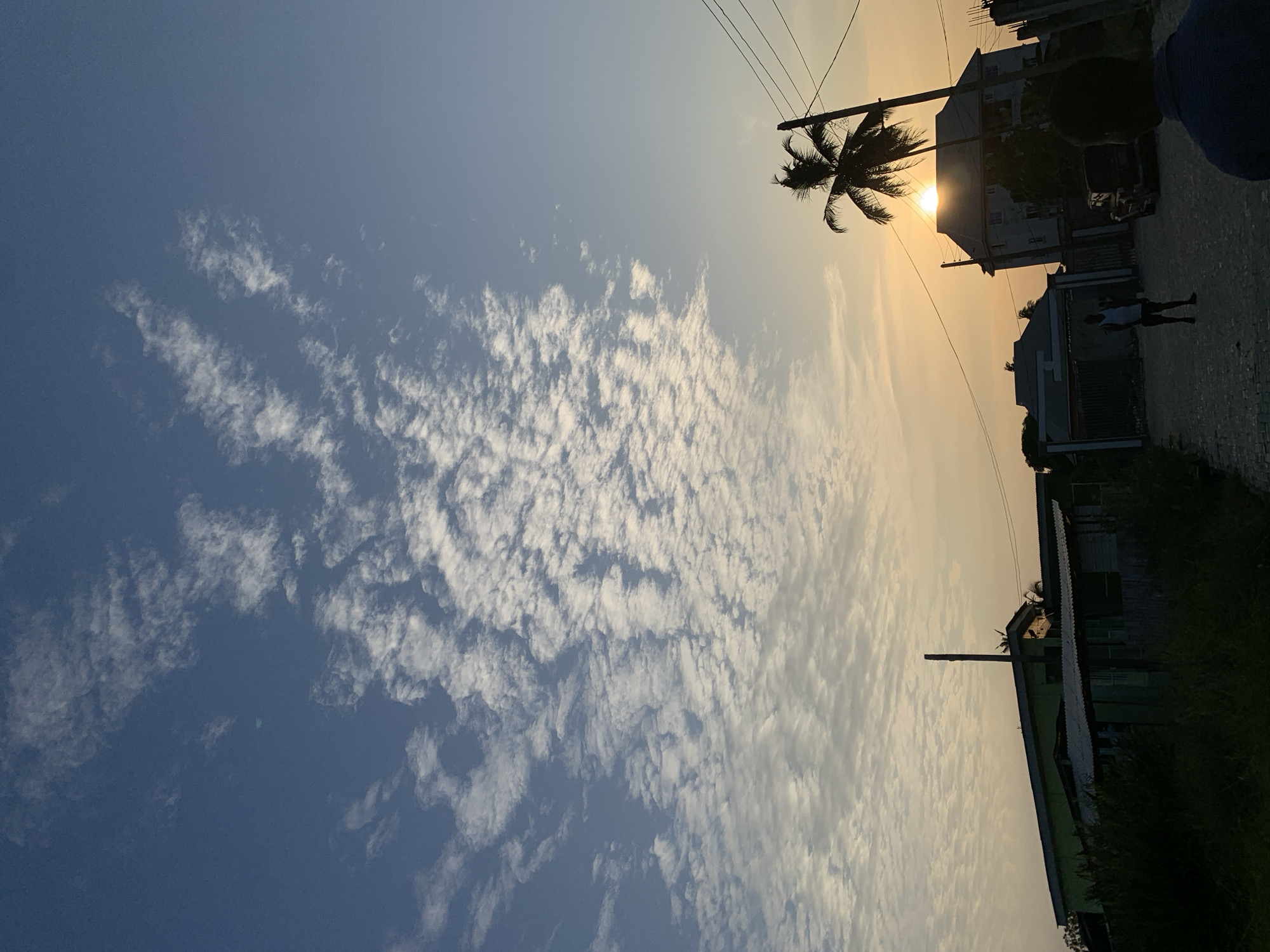 The image, oriented correctly, depicts an outdoor scene at either sunrise or sunset, characterized by a warm, golden light. The sky dominates the frame, transitioning from a clear blue at the upper left to a hazy, golden hue towards the lower right, where the sun is positioned. Numerous small, white altocumulus clouds are scattered across both the blue and golden sections of the sky.
The sun is low in the sky, partially obscured by the silhouette of a tall palm tree and a building, creating a bright glare and strong backlighting. The prominent palm tree, with its defined fronds, stands against the radiant sun. Several buildings are visible in the midground, appearing as dark silhouettes or dimly lit structures due to the backlighting. Utility poles and power lines crisscross the upper part of the sky.
Two individuals are present. The shoulder and head of one person are partially visible on the far right edge, suggesting they are close to the camera or viewing the scene. Another smaller figure, dressed in a light-colored top and dark bottoms, stands on a paved surface (possibly cobblestones) in the midground, facing away from the viewer towards the buildings.
The overall atmosphere is serene and tranquil, characteristic of dawn or dusk in a tropical or semi-tropical location like Ibasa, Nigeria. No visible text is present in the image.