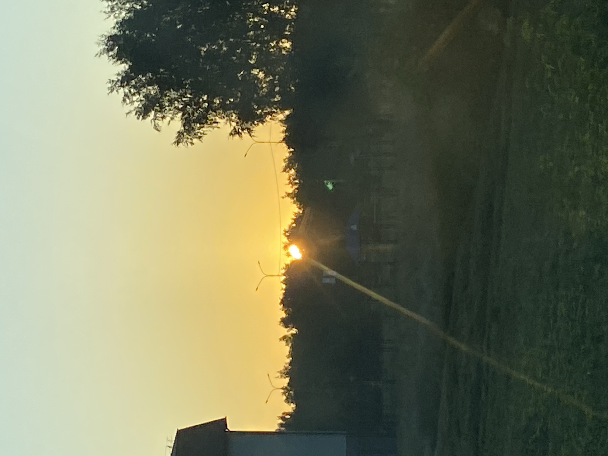 This image captures a sunrise over a rural landscape in Бескөл ауылдық округі, Kazakhstan. The sky transitions from a light blue at the top to a vibrant yellow-orange as it nears the horizon, indicating the early morning sun. The sun itself is a bright, concentrated orb peeking through a dense line of trees, creating a lens flare effect and casting a bright beam of light diagonally across the scene. Silhouetted against the bright sky are two streetlights with curved tops, flanking the sun. To the left, a portion of a building, possibly a house or shed with a dark roof, is visible. The middle ground is dominated by a dark, dense line of trees, obscuring much of what lies beyond. Beneath the trees, a small, dark structure, possibly a gazebo or shelter, is faintly discernible. The foreground consists of a grassy field, with the grass appearing dark green and somewhat overgrown, illuminated by the low-angle sunlight. The overall atmosphere is tranquil, with the focus on the natural beauty of the sunrise.