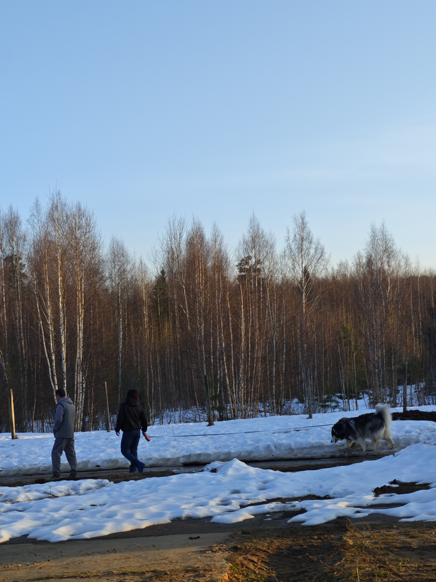 Two people and a dog walk along a snow-covered path in Марковский, Russia. The individuals, both dressed in casual attire, walk in the same direction. The large dog walks on the right side of the path near the second person. Bare trees are in the background, and patches of dirt and snow cover the ground. The sky is light blue.