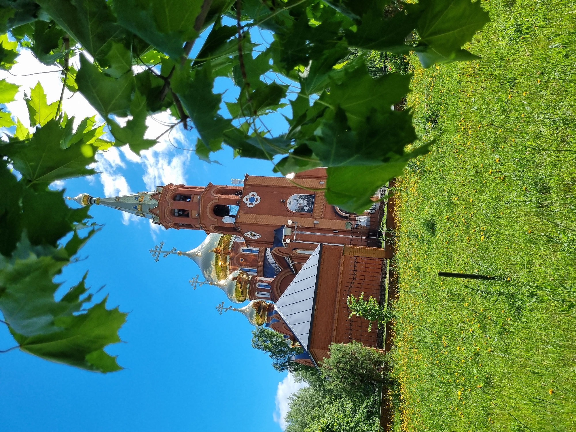 A red brick church with golden domes stands against a bright blue sky in Chaikovsky, Russia. The church features multiple onion domes topped with crosses, and a tall bell tower. In the foreground, a lush green lawn is dotted with yellow wildflowers. The scene is framed by the vibrant green leaves of a tree in the foreground, creating a dappled effect of light and shadow. A black metal fence separates the church grounds from the meadow.
