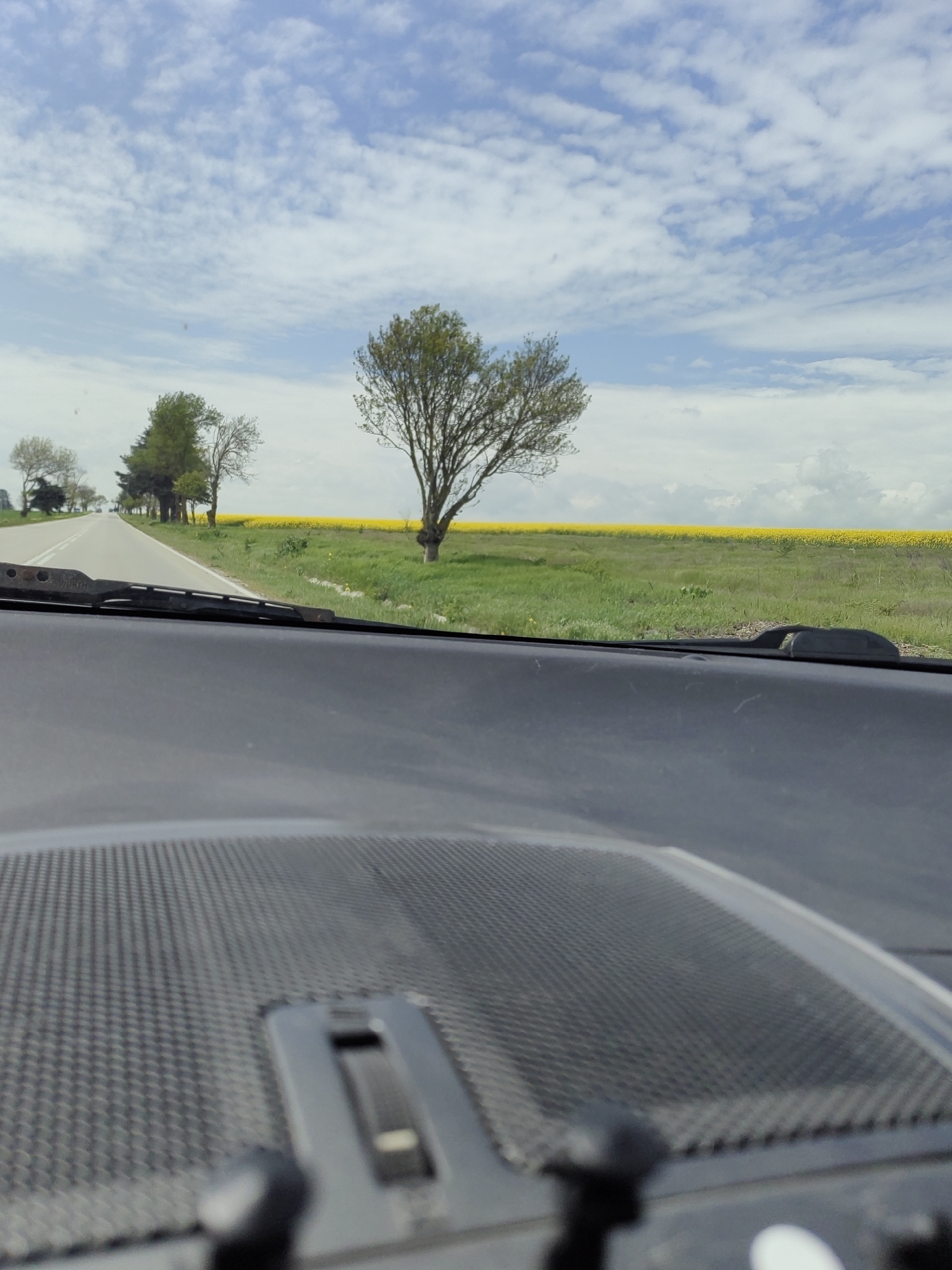 View from inside a vehicle traveling on a road. The road is flanked by fields, one filled with yellow flowers. Trees line the road and fields. The sky is cloudy. The foreground shows the vehicle's dashboard with a textured surface. The scene is evocative of a rural landscape, but there is no immediate way to confirm whether the location is in or near Izvorsko, Bulgaria.