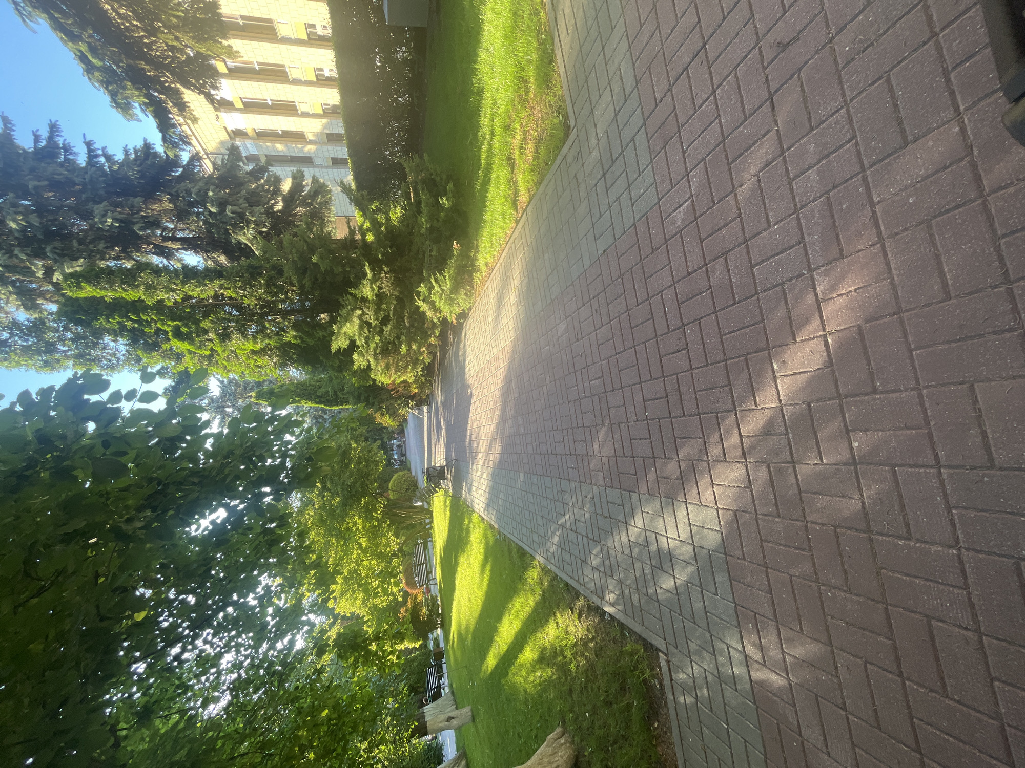 The image shows a paved pathway in a park or public space. The pathway is constructed with red and gray rectangular pavers laid in a herringbone pattern. Sunlight casts dappled shadows on the pathway, indicating it is daytime. To the left of the pathway, there is a well-maintained green lawn with some trees and park benches. In the background, there is a building with light-colored brickwork and windows, and several tall evergreen trees. The scene suggests a tranquil, outdoor environment, possibly a city park. This specific location is identified as a park in Novaya Usman, Russia, based on the context provided. There are no people visible in the image.
