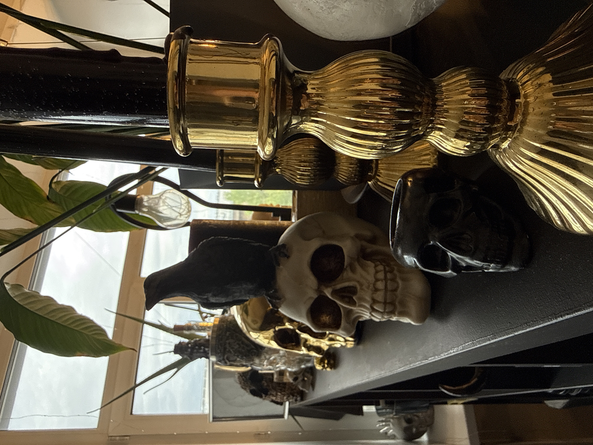 The image shows a shelf with various decorative objects, including gold candlesticks, skulls, and a statue of a raven. A plant is also present on the shelf, and a window is visible in the background. The location is not evident from the image.