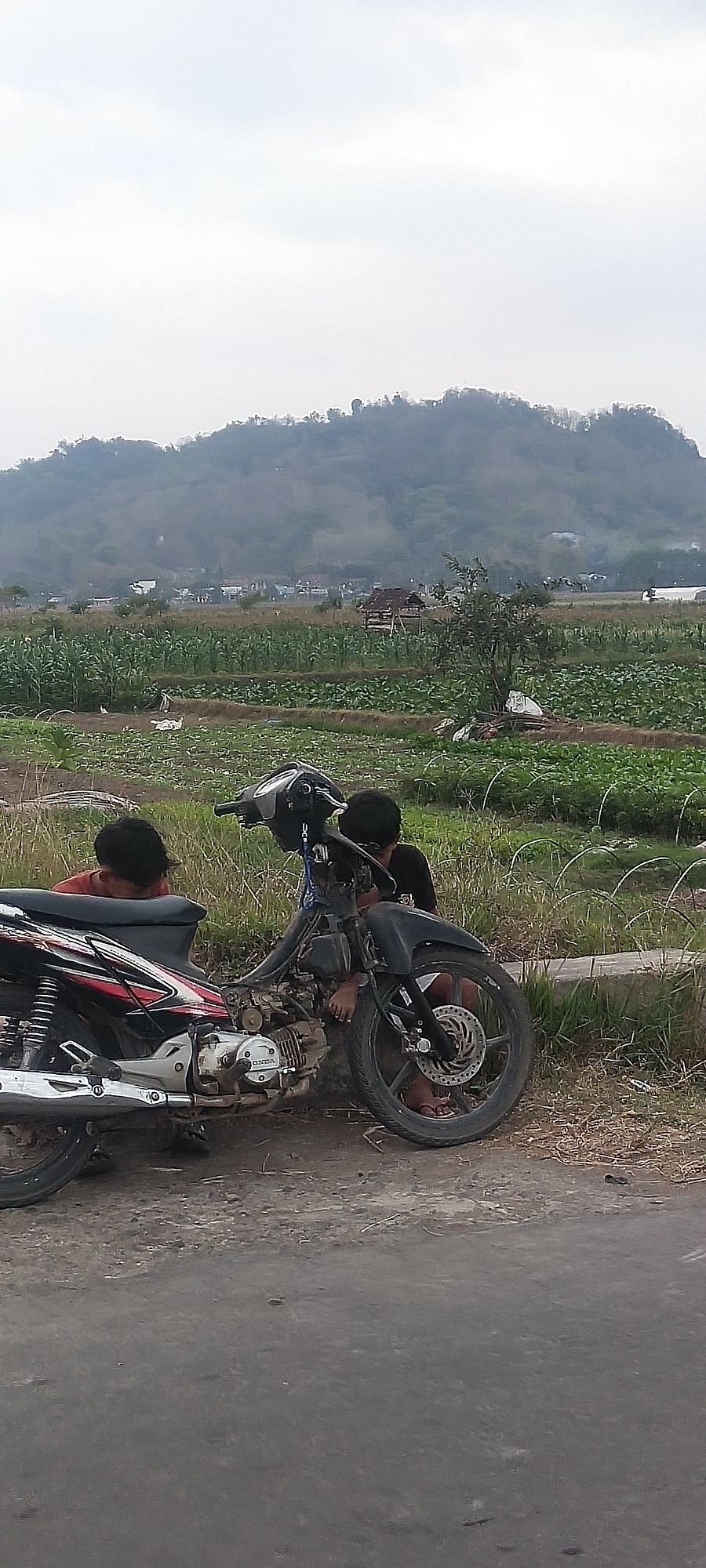 Memory