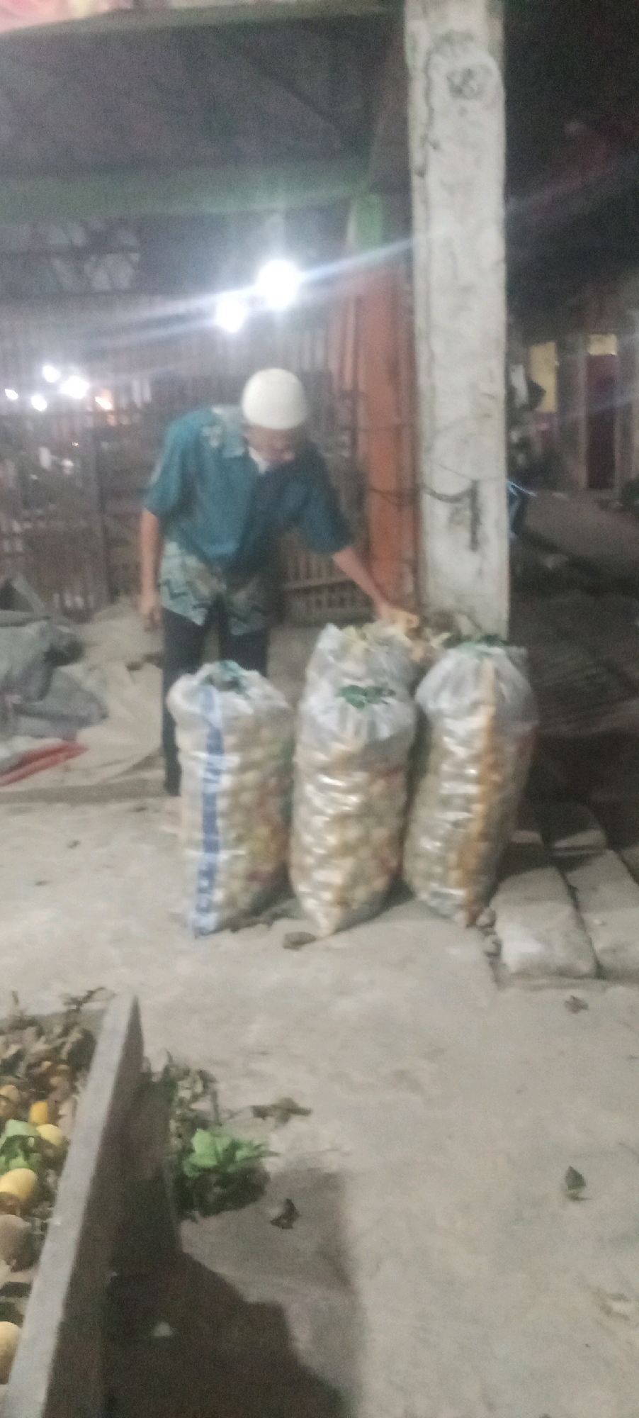 In the city of Karawang, Indonesia, a man wearing a white skullcap and a teal patterned shirt stands near three large, clear plastic bags filled with produce, possibly onions or potatoes. The man is in the process of interacting with the bags, with his right hand extended towards them. The bags are arranged in a row on a paved surface, and some of the produce is visible through the plastic. To the left of the bags, a concrete structure, possibly a planter or a drainage channel, contains scattered produce and some greenery. The background appears to be an outdoor area with some structures and lighting, suggesting it might be a market or a storage area. The lighting is dim, and the image quality is blurry, making it difficult to discern finer details of the environment and the produce.