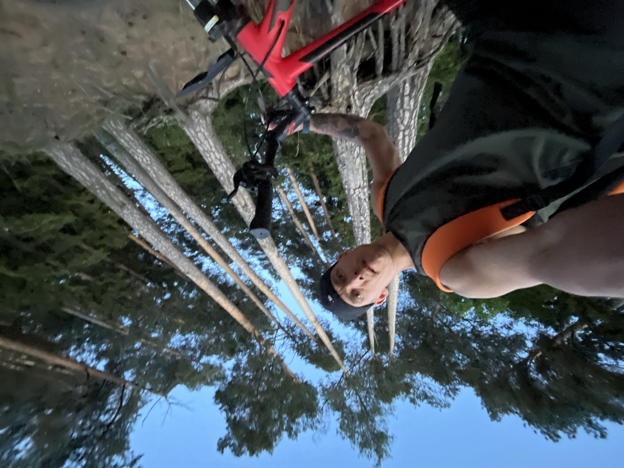 A man is positioned in front of a red and black mountain bike in a forest setting. The forest floor is visible with tall, straight trees reaching towards the sky. The sky is a pale blue color, visible between the trees. The man is wearing a black cap and a black and orange sleeveless shirt. The trees appear to be birch or pine due to their straight trunks and branching patterns. The image may be taken in the city of Chaikovsky, Russia.