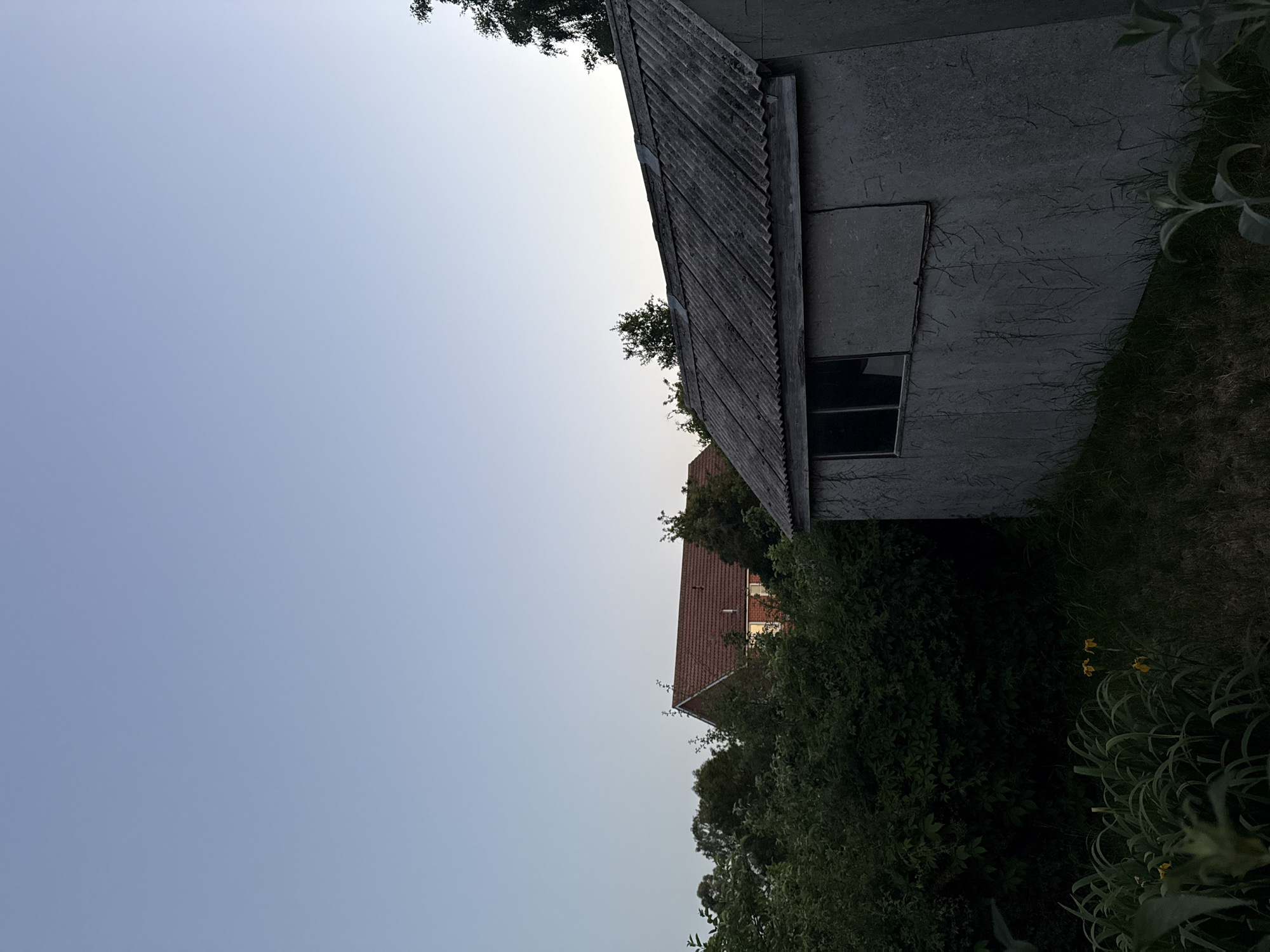 The image shows an exterior scene likely in a residential area of Ipswich, United Kingdom. A small concrete structure with a corrugated roof, possibly a shed or outbuilding, is situated on the right side of the frame. It has a small opening or window. To the right of the shed, there is foliage and grass. Further back, a red-tiled roof of a building is visible amongst the trees. The sky is a pale blue, suggesting dusk or dawn. No people are visible in the image.
