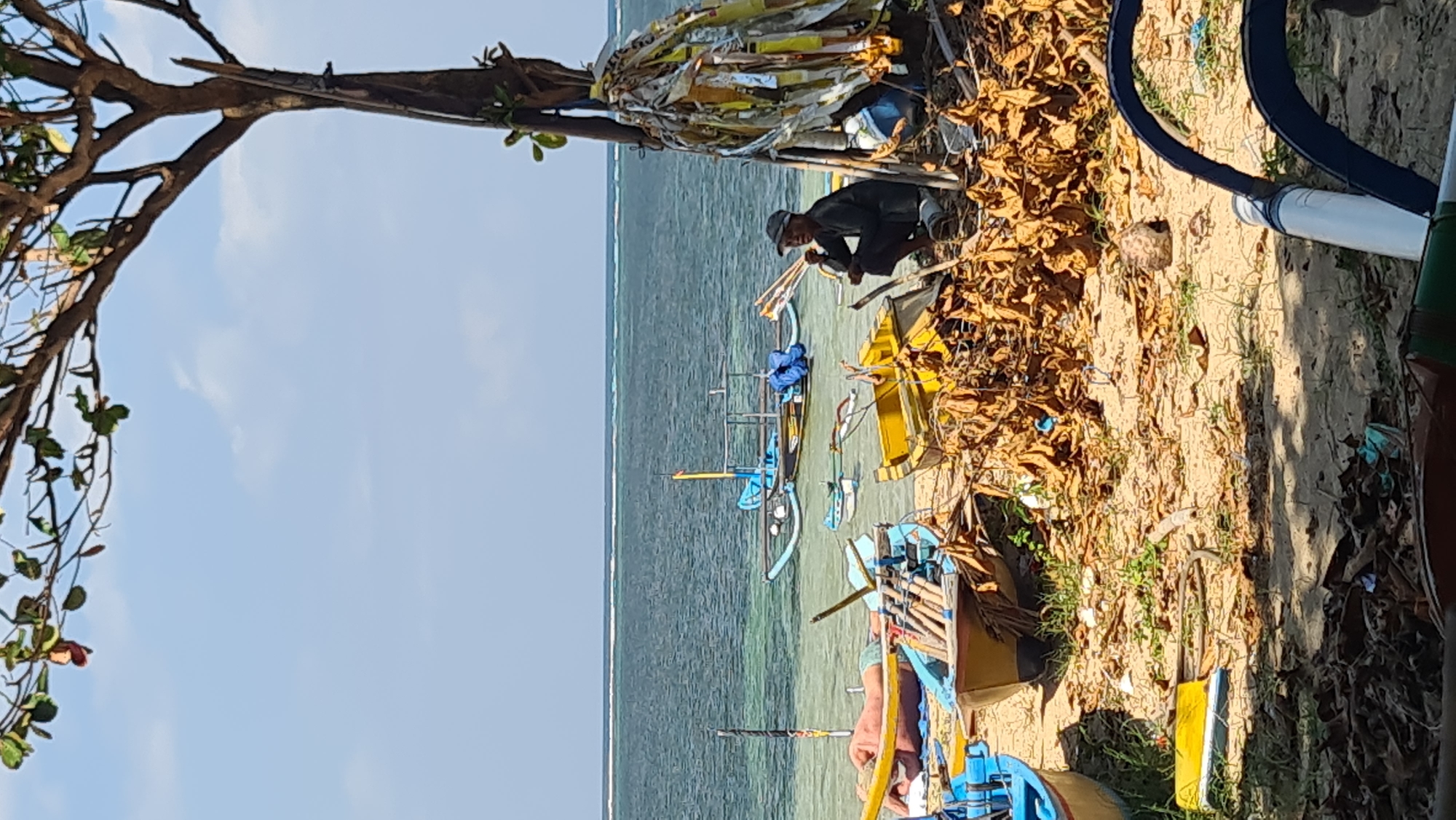 In Denpasar, Indonesia, this image captures a serene beach scene with several traditional Indonesian fishing boats resting on the sandy shore. The clear, calm ocean stretches out to the horizon, with a distinct line of white waves breaking further out. A lone individual, dressed in dark clothing and a cap, is crouched near a tree on the right side of the frame, appearing to be engaged in some activity. Scattered debris, including dried leaves and various objects, litter the beach around the boats and the seated figure. The presence of fishing boats suggests this is a location frequented by local fishermen. The overall atmosphere is one of tranquility and everyday life by the sea.