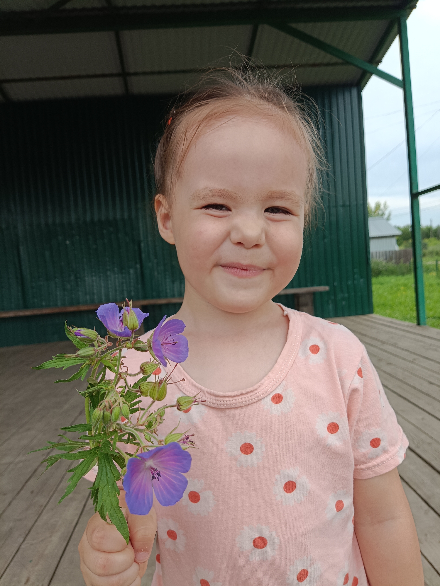 A young Caucasian girl with light brown hair, pulled back into a ponytail with what appears to be red hair ties, smiles at the camera while holding a small bouquet of purple flowers. She is wearing a light pink t-shirt with a repeating pattern of white flowers with orange centers. The girl's left hand, which is holding the flowers, is visible in the lower left of the frame.
The background suggests an outdoor setting, possibly a covered porch or pavilion. Behind the girl, a dark green corrugated metal wall is visible, with a wooden bench in front of it. Beyond the structure, a grassy area and a building with a gray roof are present, indicating a rural or semi-rural location. The wooden floor of the porch is visible in the foreground, and the sky above is overcast.
The overall impression is a candid outdoor portrait of a child enjoying a simple moment with nature. The image appears to have been taken in or around the city of Posad, Russia, based on the provided context.