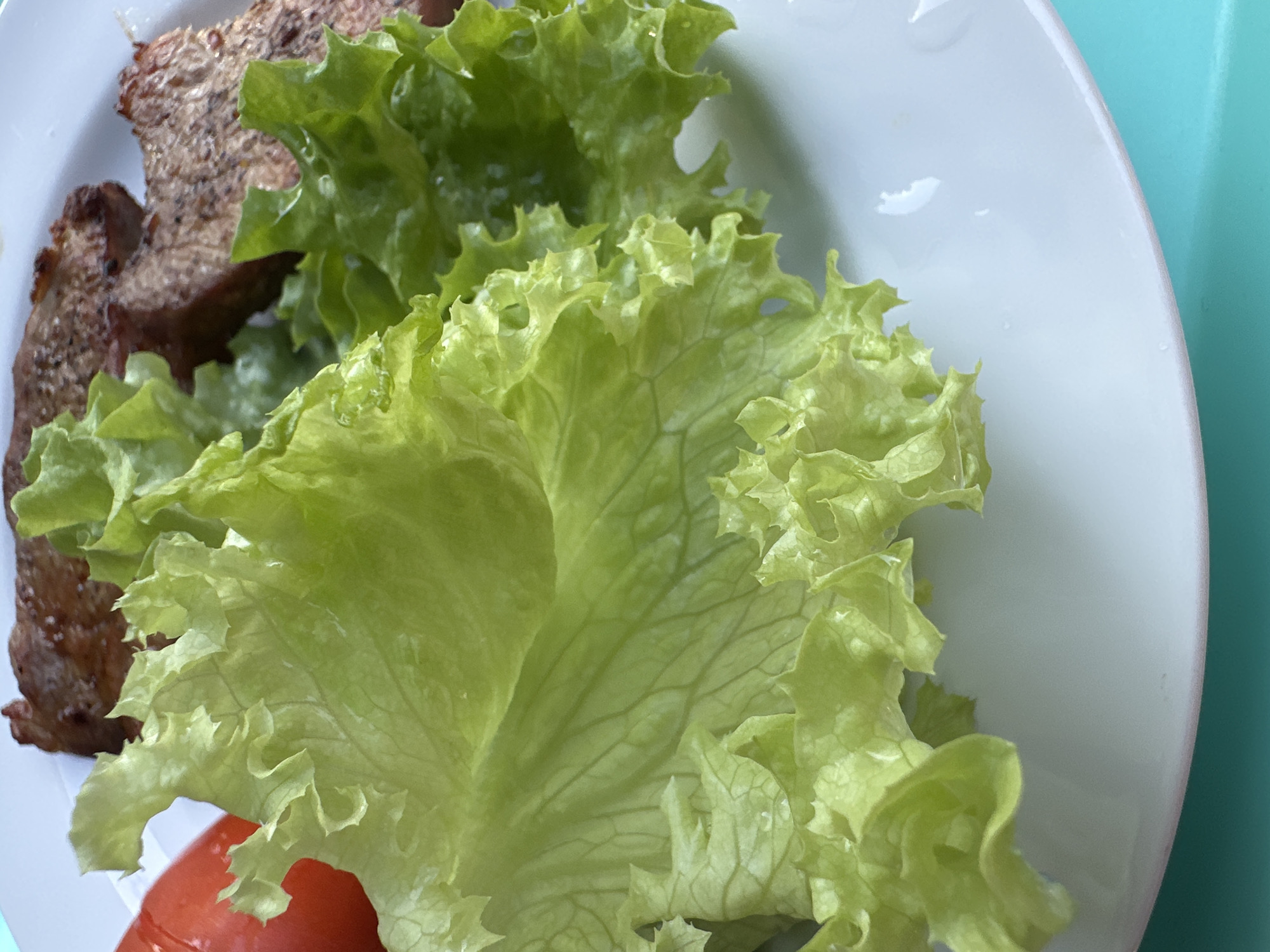 A close-up, eye-level shot captures a white plate on a teal surface. The plate holds grilled meat and fresh lettuce. The meat, appearing to be steak, is dark brown and slightly charred, with visible grill marks. It is positioned in the upper right portion of the frame. Large, crinkled lettuce leaves, bright green and glistening with moisture, fill the majority of the plate and extend towards the viewer. In the lower left corner, a portion of a red tomato is visible. The background is out of focus, with the teal surface extending beyond the plate. There are no people or animals visible in the image, and no specific identifiable landmarks within the city of Krefeld, Germany.
