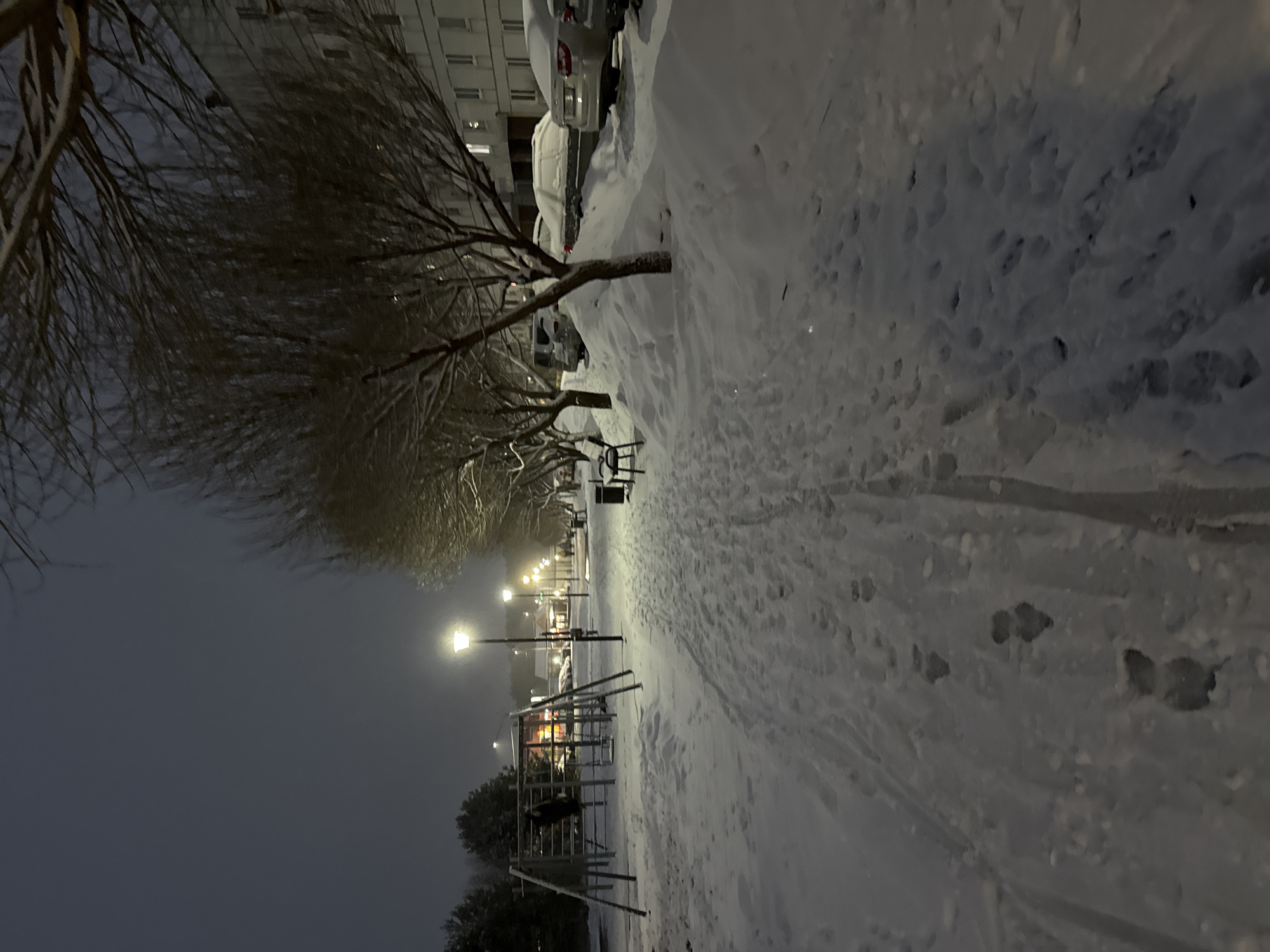 The image depicts a snow-covered scene in what appears to be a park or residential area in Chaikovsky, Russia. The location includes a pathway covered in snow with footprints. A row of leafless trees lines the pathway. To the left, there is a playground structure. Street lamps illuminate the scene. On the right side of the path, snow is piled high, obscuring parked cars and buildings. The overall atmosphere is cold and still.