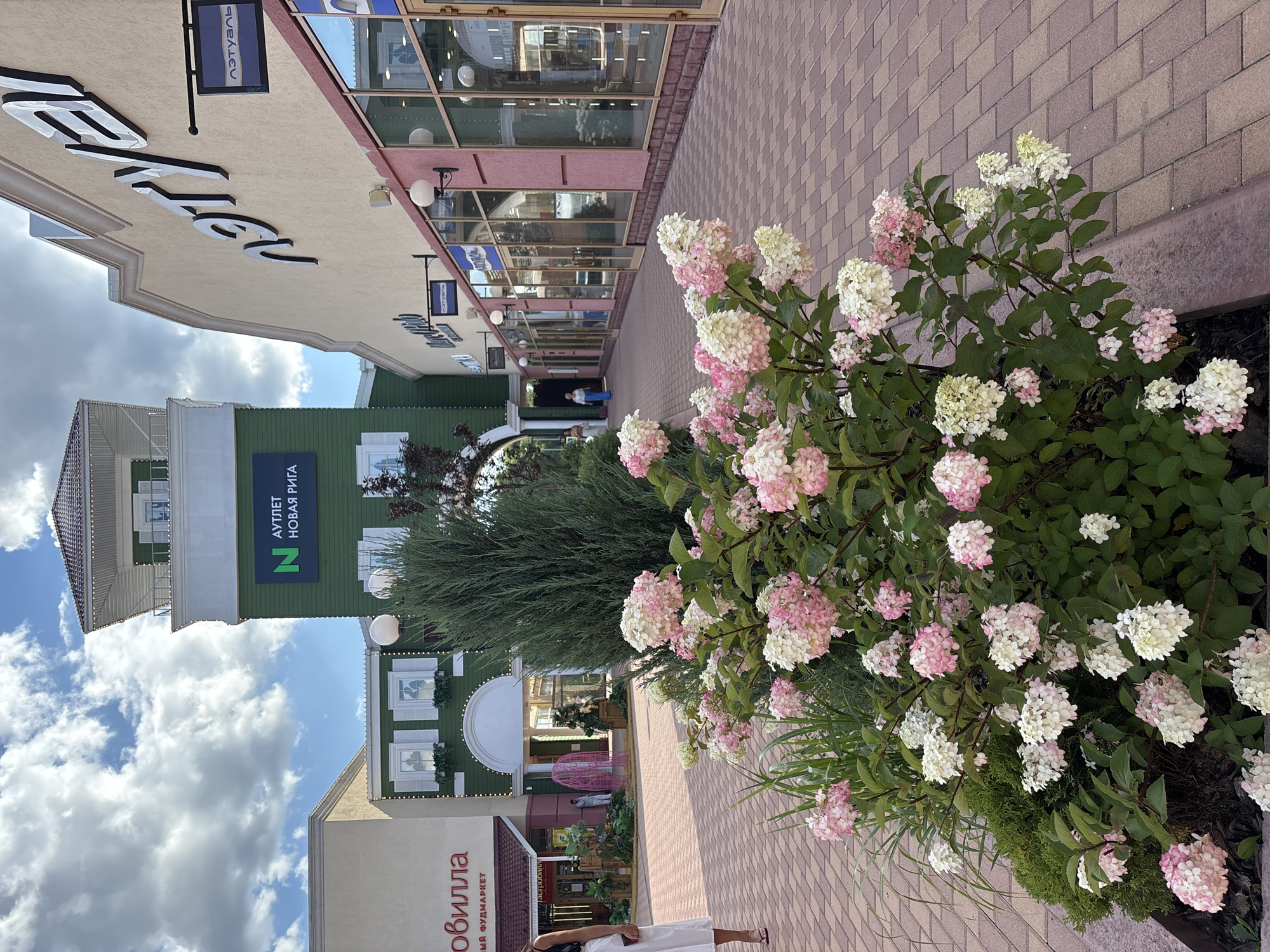 The image depicts an outdoor view of an outlet mall located in Zakharovo, Russia. In the foreground, a flowering shrub with pink and white blossoms is prominently featured, with lush green foliage. Behind the shrub, a paved walkway with a reddish-brown brick pattern stretches into the distance. The walkway is lined with storefronts.
On the left side of the walkway, there is a light-colored building with a red awning. Further down, a green building with a distinctive tower is visible. This green structure features windows with white shutters and is adorned with decorative lights. A sign on the tower displays the text "АУТЛЕТ НОВАЯ РИГА" (Outlet Novaya Riga) with a green 'N' logo.
To the right of the walkway, a pale yellow building with large glass windows displays signage that reads "ЛЭТУАЛЬ" (L'Etoile) in large black lettering, with smaller "ЛЭТУАЛЬ" signs hanging below.
Several people are present in the scene. On the far left, a woman in a white dress and black top is standing, facing away from the camera. Further down the walkway, two individuals are walking away from the viewer, one in a white top and blue pants, and another in a light-colored outfit. In the background, near the entrance of the green building, a person in a blue shirt and light pants is walking.
The sky above is partly cloudy with a mix of white clouds and blue sky. The overall impression is that of a shopping district on a bright, possibly sunny day.