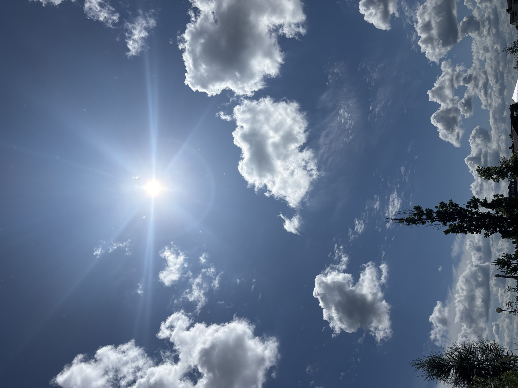 The image shows a bright, sunny sky with scattered white clouds. The sun is visible in the upper center of the frame, emitting bright rays. The sky is a clear, deep blue. In the foreground, the tops of trees are visible on the left and right sides of the image, along with the silhouettes of some buildings and structures at the bottom. A street lamp is also visible. The scene appears to be an outdoor view in a suburban or park-like setting. The location is specified as Zvenigorod, Russia. There are no people or animals clearly depicted in the image.