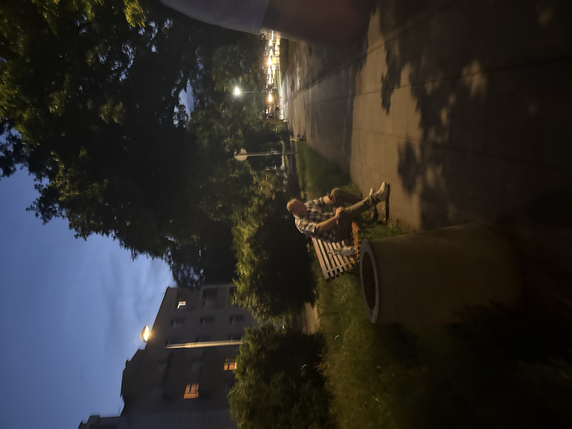 A person is sitting on a park bench on the side of a sidewalk at dusk in an urban environment. The person is wearing a plaid shirt and pants, and appears to be looking at their phone. A bottle of liquid is on the bench next to them. The bench is next to a grassy area with some bushes. In the background, there is a building with lit windows, trees, and a street with traffic and streetlights. The sky is dark blue, indicating it is evening. The scene appears to be from the city of Unknown, Unknown.
