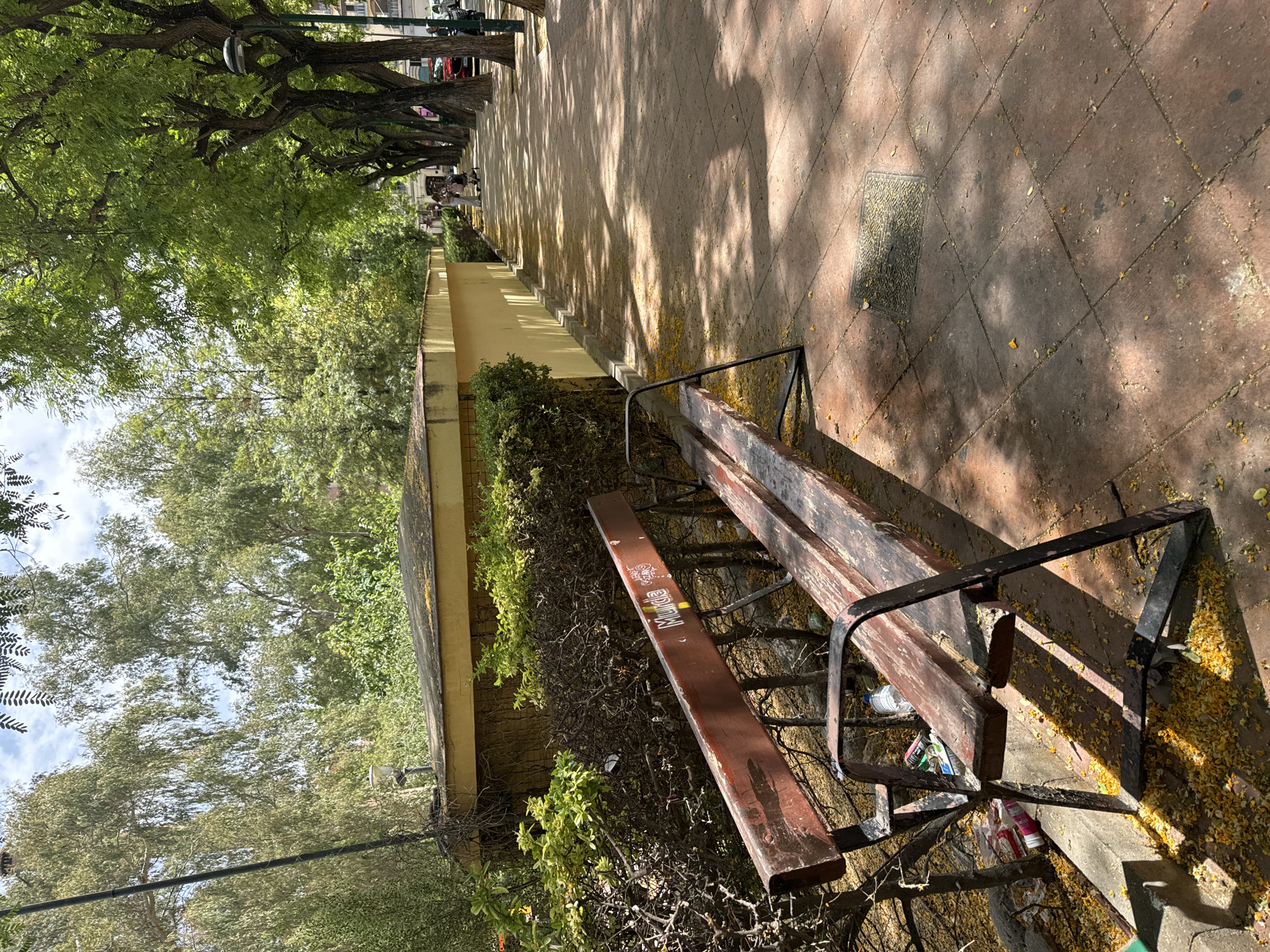 A weathered, wooden park bench with a dark metal frame sits on a red brick paved walkway in Murcia, Spain. The bench is positioned in the foreground, angled towards the viewer's left. Scattered yellow petals cover the bench and the walkway. To the left of the bench is a retaining wall with a yellow facade, partially obscured by dense, dark green bushes and tangled branches. Some litter, including plastic bottles and cans, is visible at the base of the retaining wall. Beyond the bench, the walkway stretches into the distance, lined with mature trees casting dappled shadows on the pavement. In the background, two people and a stroller are walking along the tree-lined path. The sky above is partly cloudy.