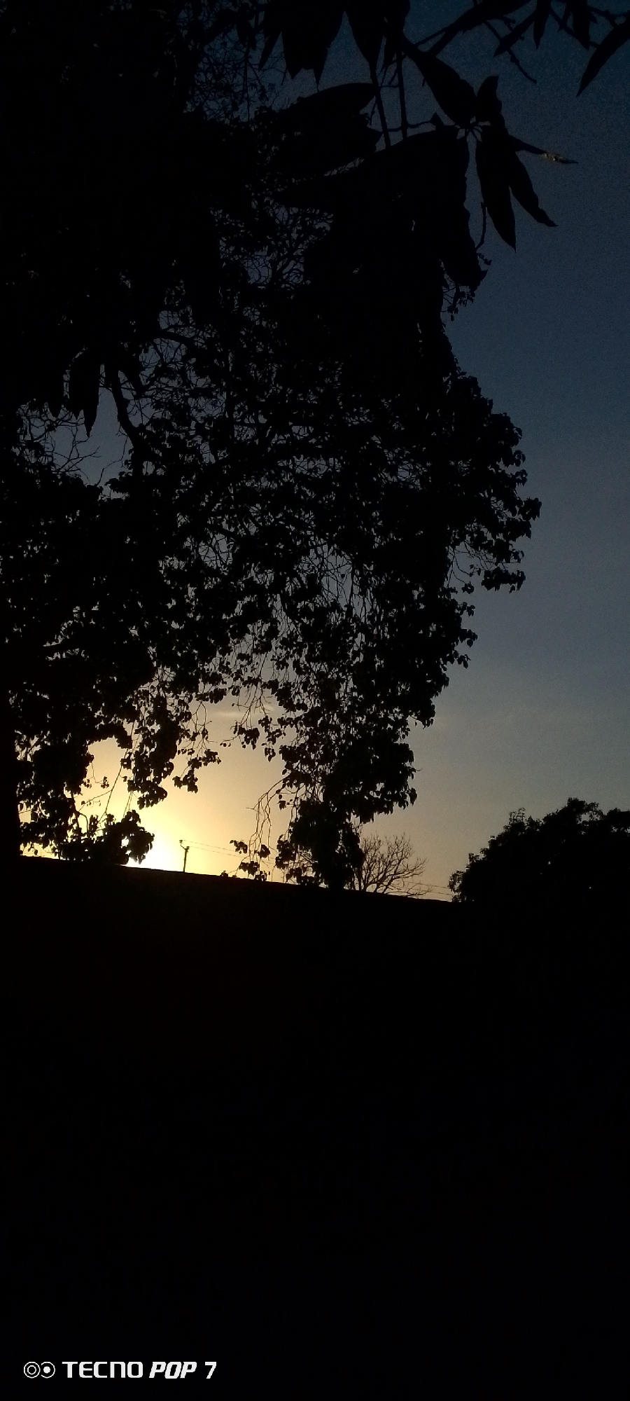 The image captures a serene natural landscape at either sunrise or sunset, presenting a silhouette-dominant scene. The foreground is entirely dark, forming a stark silhouette of a low hill or ground line. Above this, a vibrant yellow-orange glow on the horizon indicates the presence of the sun, creating a striking contrast with the dark elements.
Dominating the upper and middle portions of the image are the dark, intricate silhouettes of numerous tree branches and foliage. These trees, heavy with leaves, frame the lighter sky, with some branches extending across the sunlit area. To the right of the central bright glow, a bare, branchy tree silhouette is visible, possibly indicating a different species or a leafless state. In the distance, faintly visible against the bright horizon, are what appear to be power lines or utility poles. The sky transitions from the bright yellow-orange at the horizon to a dark, deep blue or gray-blue at the top, suggesting dusk or dawn.
No human activity or people are visible in the image. The scene is one of quiet natural beauty, emphasizing the dramatic light of the early morning or late evening. The location context indicates Altagracia, Venezuela.
In the bottom left corner of the image, the text "TECNO POP 7" is visible, likely a watermark from the device used to capture the photograph.