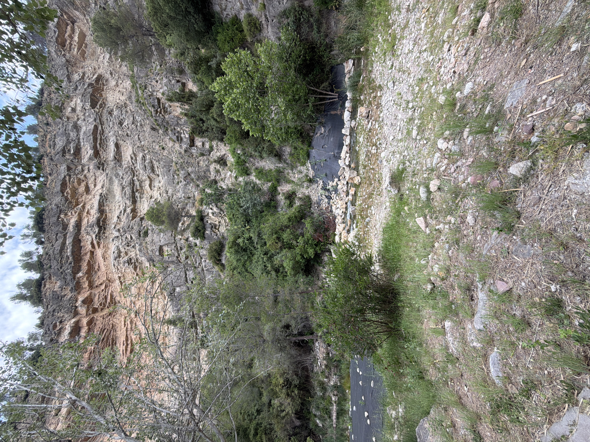 The image depicts a natural landscape, potentially situated near Montanejos, Spain, given the rocky terrain. A tall, steep rock face dominates the left side of the frame, exhibiting variations in color from light grey to tan, and riddled with crevices and formations typical of sedimentary or metamorphic rock. The right side of the image is composed of a mix of gravel, sparse grass, and scattered vegetation, suggesting a dry, possibly mountainous environment. Patches of trees and shrubbery are interspersed throughout the scene, with some trees situated on the side of the rock face.
A black tarp-like material is visible in two distinct locations, potentially acting as a lining or barrier against the rocky ground. Stones are laid along the borders of the tarp in one area.
The overall impression is that of a rugged, natural area possibly undergoing some degree of landscaping or stabilization efforts.