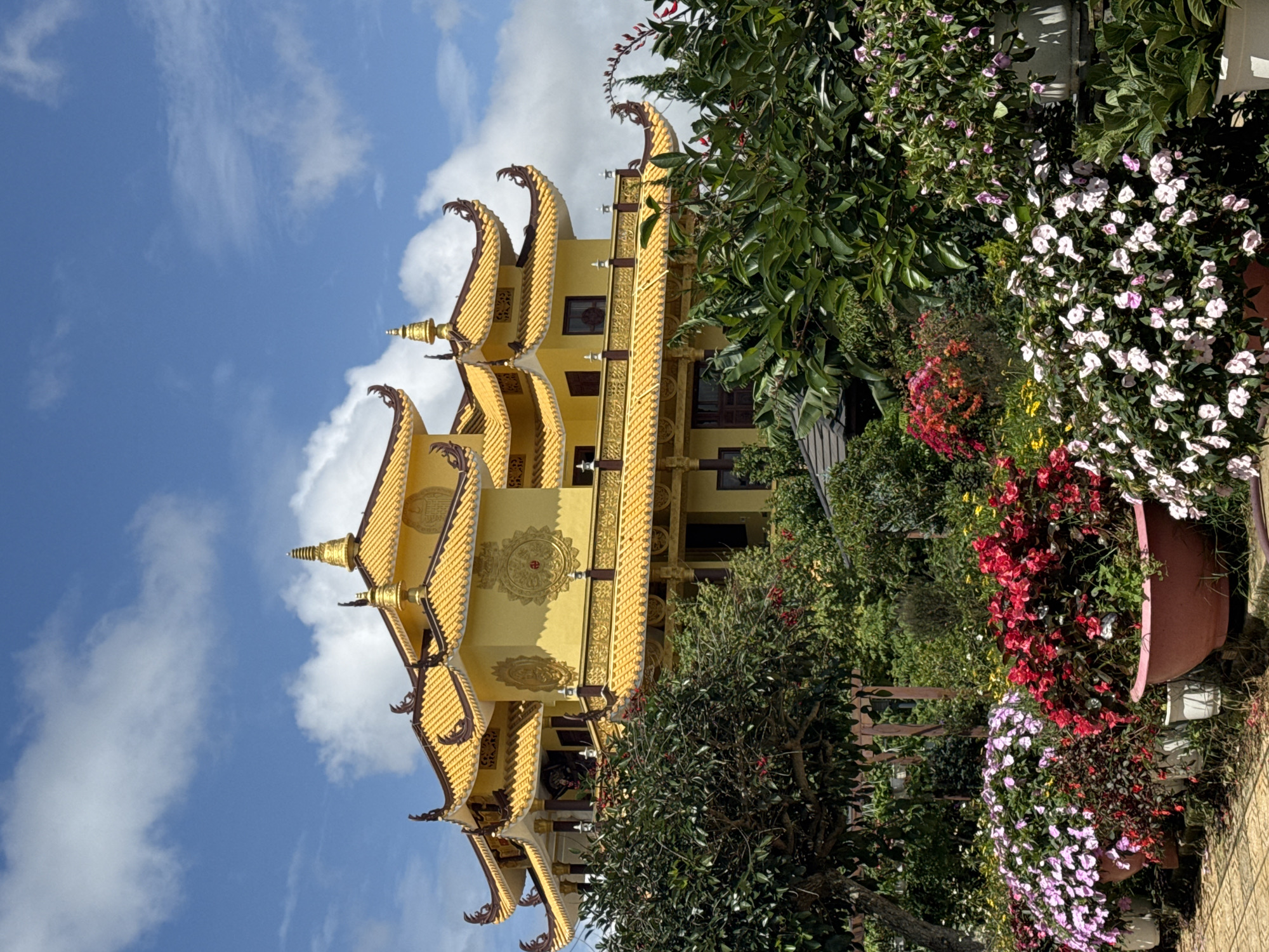 This image captures a vibrant Buddhist temple, likely the Truc Lam Monastery, located on a hill overlooking the city of Da Lat, Vietnam. The temple's architecture is distinctive, featuring multiple tiers of bright yellow roofs with intricate, dark brown decorative trim and ornate golden finials. Circular, embossed designs adorn the yellow walls. In the foreground, a lush garden bursts with color. Large planters overflow with a variety of flowers, including masses of pink and white impatiens, bright red begonias, and smaller red and yellow blossoms. Green foliage from trees and shrubs provides a verdant backdrop, partially obscuring the lower levels of the temple. The sky above is a clear blue, dotted with fluffy white clouds, suggesting a pleasant, sunny day. The composition focuses on the temple's grandeur and the colorful natural surroundings.