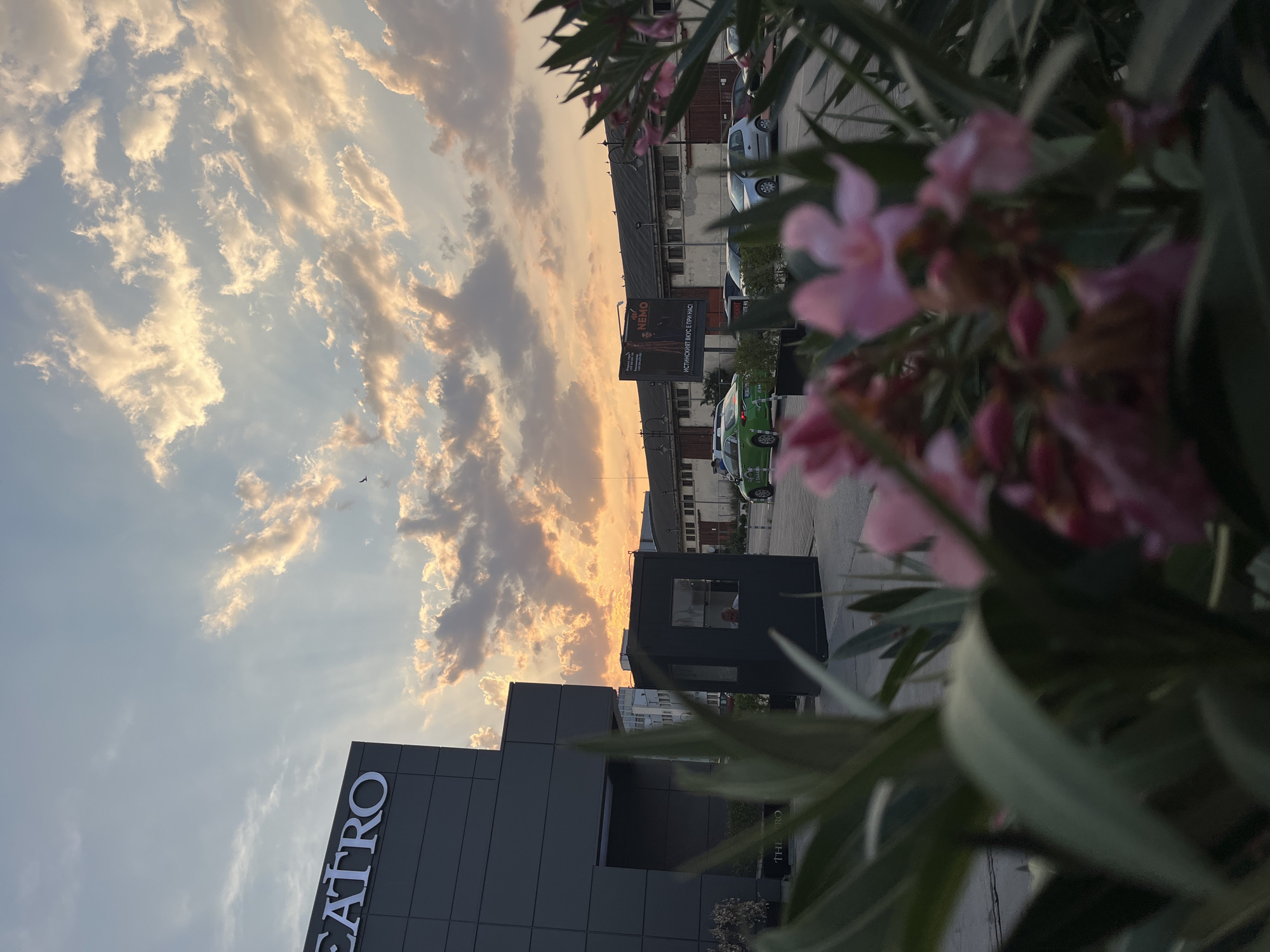 The image captures a street scene in Varna, Bulgaria, during a sunset. In the foreground, out-of-focus pink oleander flowers and green leaves dominate, partially obscuring the view. To the left, a modern, dark grey building with "TEATRO" in large white letters on its facade is prominent. Adjacent to this building is a small, dark security booth with a visible occupant inside.
Further into the scene, a road or parking area is visible, with several parked cars. A bright green taxi is also present, as is a billboard advertising "NEMO" with Bulgarian text below. The background consists of low-rise buildings with a tiled roof, characteristic of industrial or older architectural styles. The sky is dramatic, with rays of sunlight breaking through scattered, golden-tinged clouds, creating a vibrant sunset effect. A single bird is visible in the sky. The overall atmosphere suggests an urban setting during the golden hour.