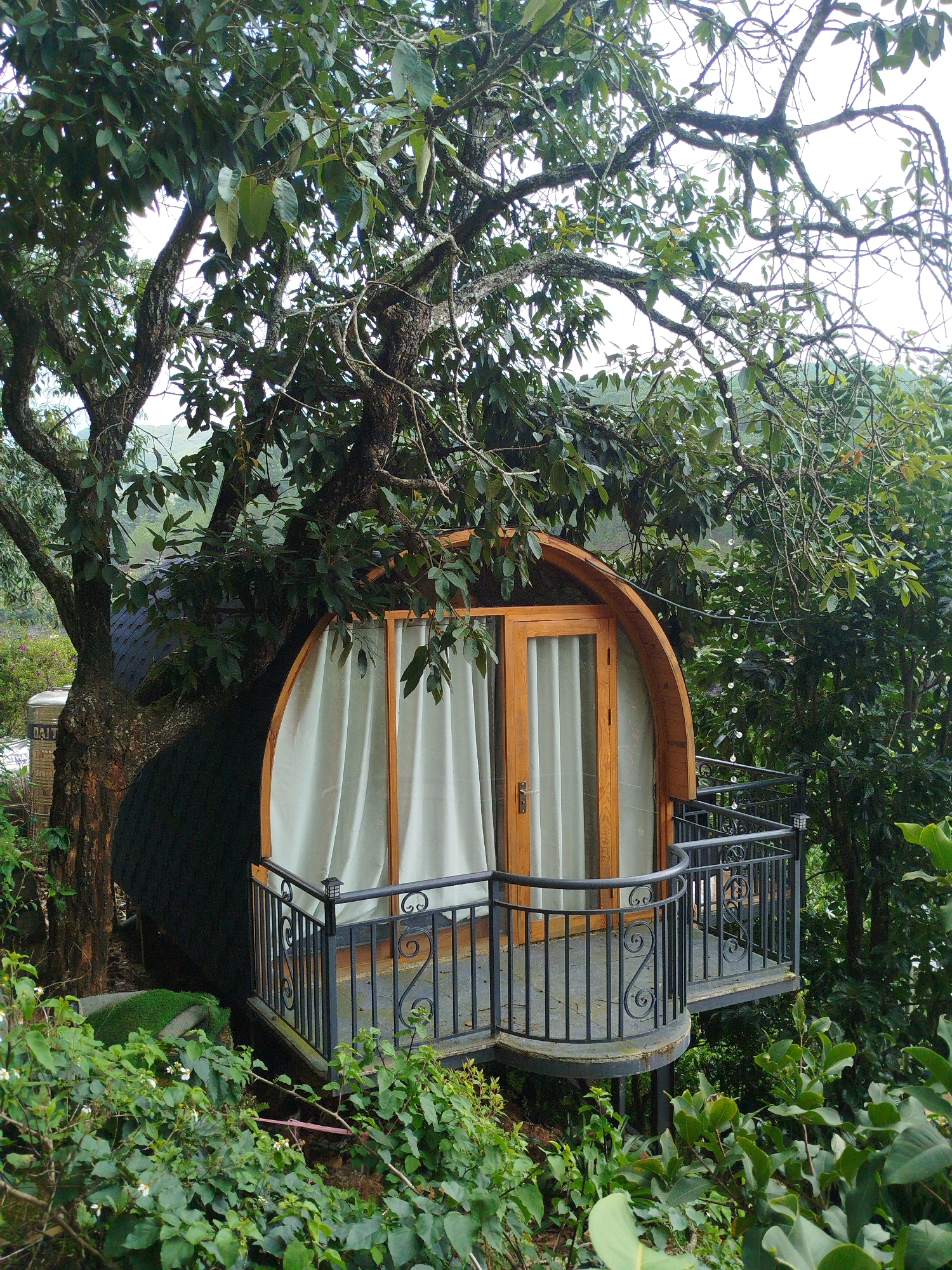 A treehouse with a wooden door and windows, featuring white curtains, is nestled amongst lush green foliage. A small balcony with a black metal railing extends from the treehouse, overlooking a dense forest. The treehouse is built into the trunk of a large tree with dark bark and branches. The surrounding environment is rich with vegetation, suggesting a natural, possibly mountainous setting. The image does not contain any people or specific details that would pinpoint a location within the city of Da Lat, Vietnam, or indicate any particular actions or interactions. The overall impression is one of a serene, secluded natural retreat.