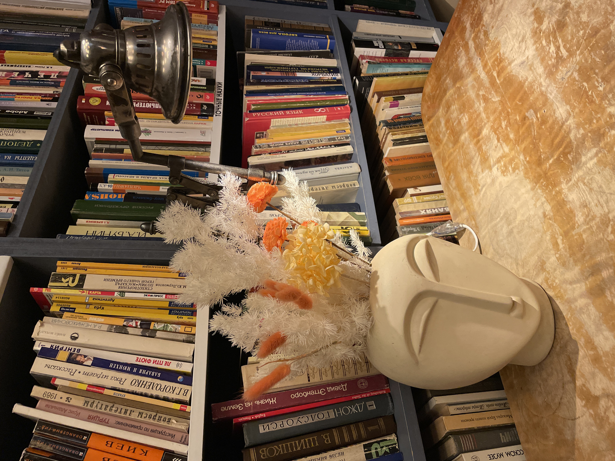 The image shows a bookshelf filled with Russian-language books, a lamp, a decorative head sculpture, and artificial floral arrangements. The books cover a range of topics, including literature, history, travel, and science. The titles include works by authors such as Mikhail Lermontov, David Attenborough, and V. Korolenko. The lamp is a vintage-style adjustable task light. The head sculpture is a simple, modern design. The artificial flowers add a touch of color and texture to the scene. The overall impression is one of a cozy, intellectual space. The location within Saint Petersburg, Russia cannot be determined solely from the image, as there are no distinctive landmarks or architectural features to identify the precise location.