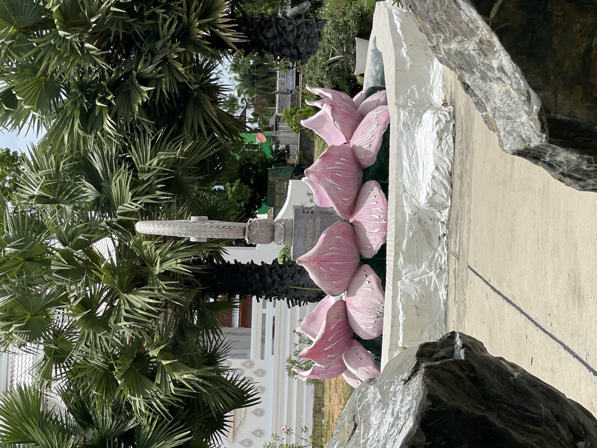 In Tambon Na Chom Thian, Thailand, a fountain features a large, pink lotus flower sculpture. The sculpture is surrounded by a white, rough-textured basin, and behind it, palm trees with large fronds dominate the scene. A white building with tiled roofs and ornate decorative elements is visible in the background. Two large rocks frame the foreground of the image, one on the left and another on the right, creating a sense of depth. The ground is a paved surface, and a distinct shadow line runs diagonally across it. A stone monument with a circular, wheel-like sculpture at its top is positioned behind the lotus flower. The environment suggests a sunny day with clear skies.
