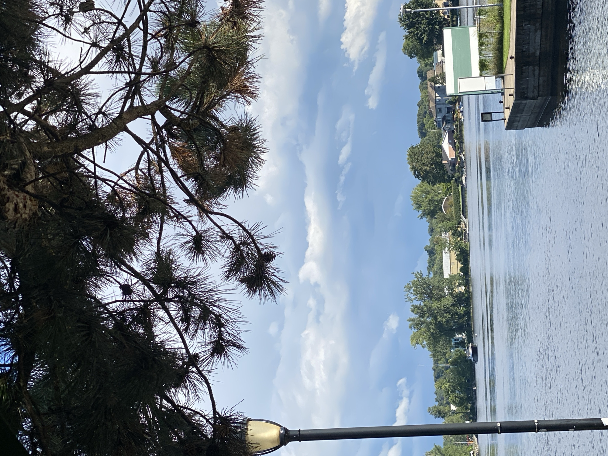 A body of water, likely the Saint Lawrence River, dominates the foreground and midground. On the left side of the image, a black lamppost with a golden lantern rises vertically. The water's surface is calm, reflecting the cloudy, blue sky. In the distance, a tree-lined shore is visible, dotted with houses and other buildings, suggesting a suburban or town setting. A dark-colored boat is moored on the water in the midground. On the right side, a concrete dock juts into the water, featuring a green and white sign and another smaller sign. Overhead, the branches and needles of a pine tree create a natural canopy, with the sky visible through the foliage. This scene is located in Sainte-Anne-de-Bellevue, Canada.