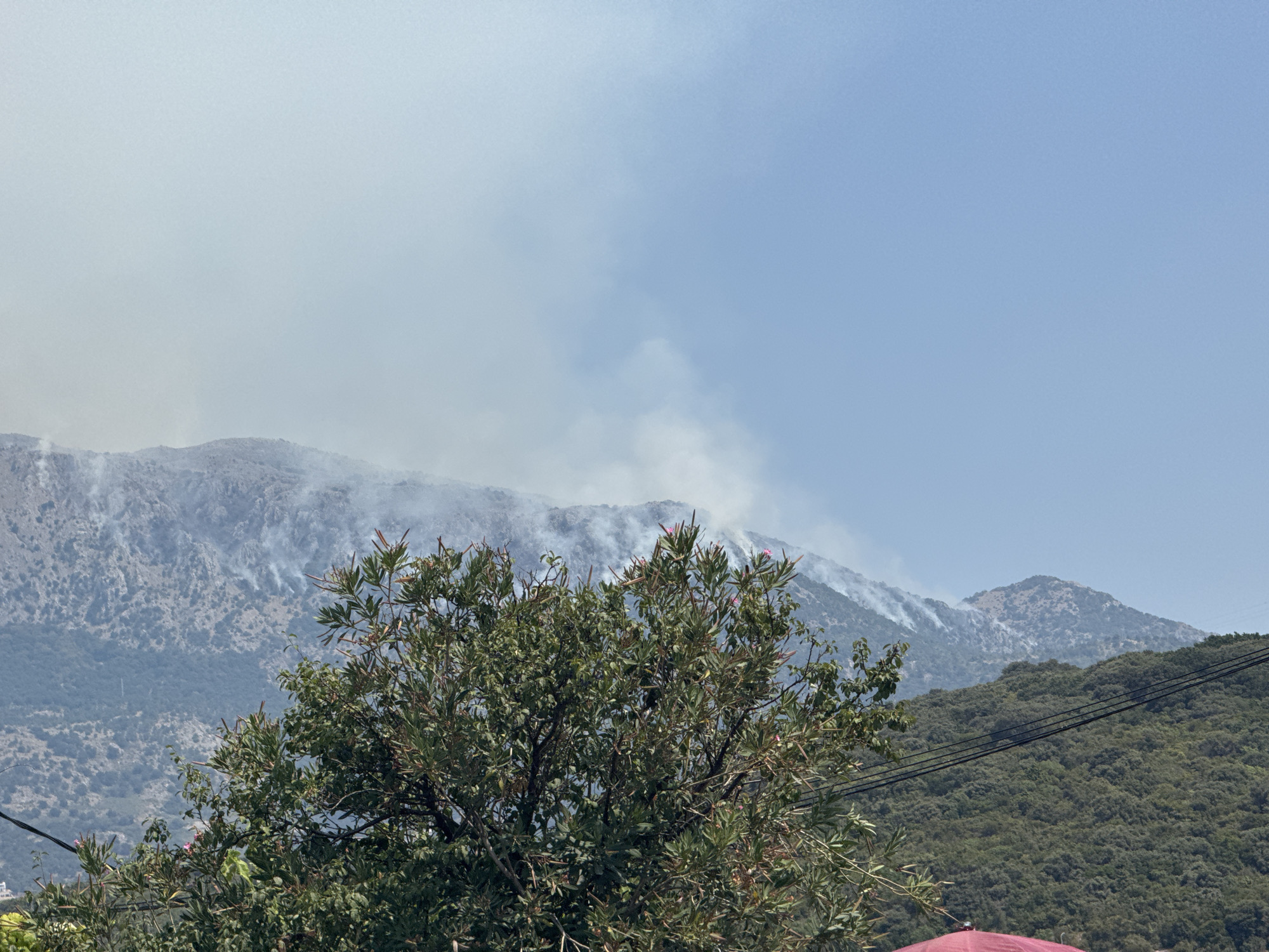 The image captures a scene in Kunje, Montenegro, where a wildfire is visible on a mountainside. In the foreground, a large, green leafy tree dominates the lower half of the frame, with its branches extending upwards. Behind the tree, the rugged terrain of mountains rises, with patches of smoke emanating from the slopes, indicating an active fire. The smoke drifts upwards and spreads across the sky, partially obscuring the distant mountain peaks. The sky above is a clear, pale blue. Power lines are visible stretching across the middle ground, traversing the green, forested slopes of a lower mountain range. In the bottom right corner, a portion of a red structure, possibly an umbrella or awning, is visible.