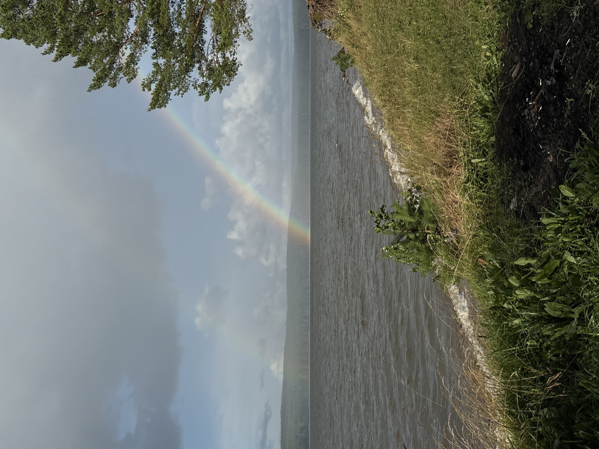 A wide shot shows a lake with choppy water under a cloudy sky. A double rainbow stretches across the sky. A dense, dark green forest lines the far shore of the lake. The foreground shows a grassy embankment sloping down to the water. A large pine tree with dark green needles is visible on the right side of the frame, extending into the upper right corner. The sky is dominated by heavy, grey clouds with some patches of lighter blue peeking through. Waves crash against the shore on the right side of the image. The overall impression is a natural landscape, possibly after a rain shower.