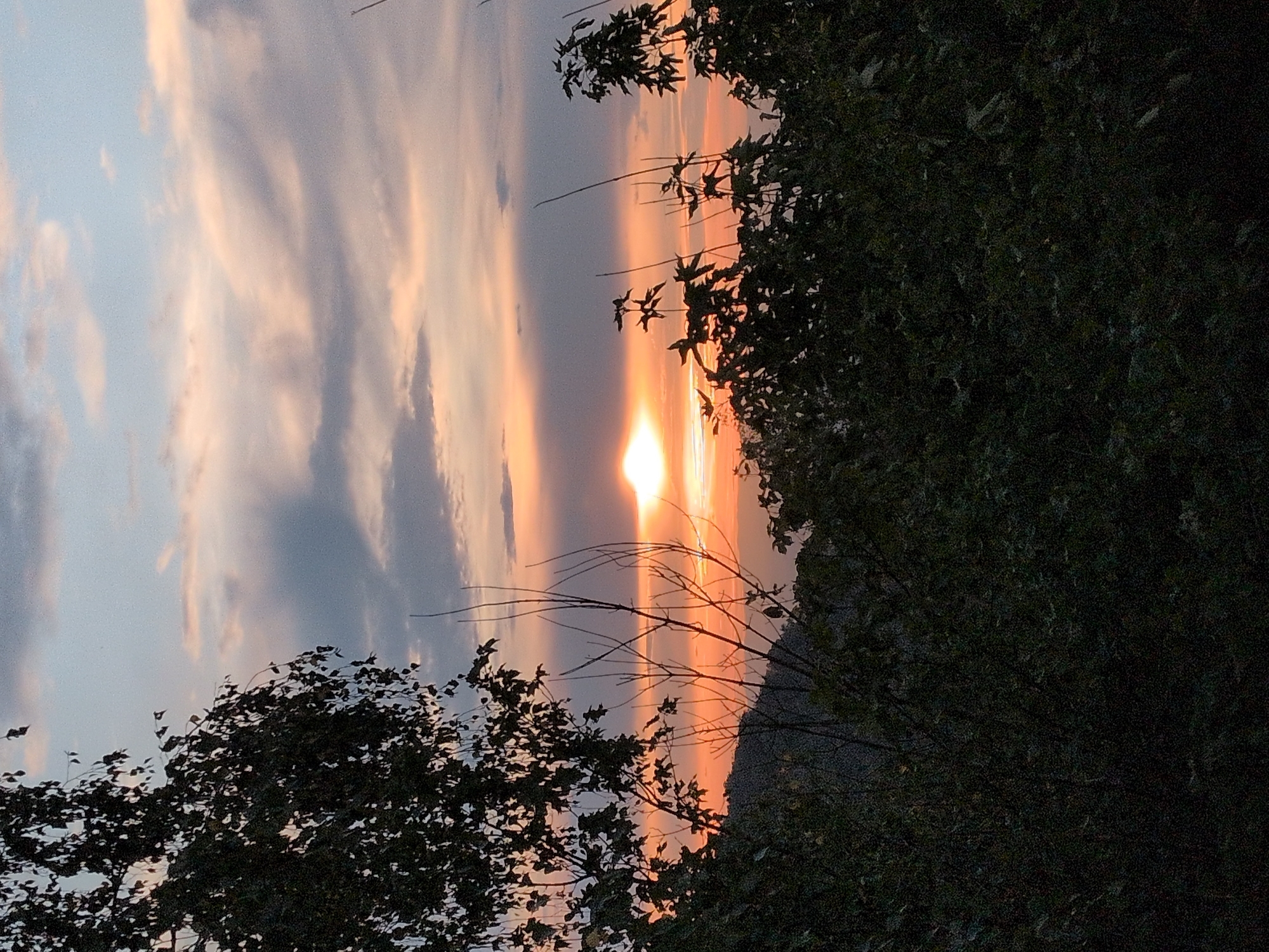 A sunset is visible through a gap in trees and foliage. The sun is partially obscured by clouds, casting an orange glow across the sky. The foreground is dominated by dark green trees and shrubs, with some bare branches extending upwards. In the distance, a dimly lit hillside is visible. The sky is a mix of pale blue, pink, and grey clouds.