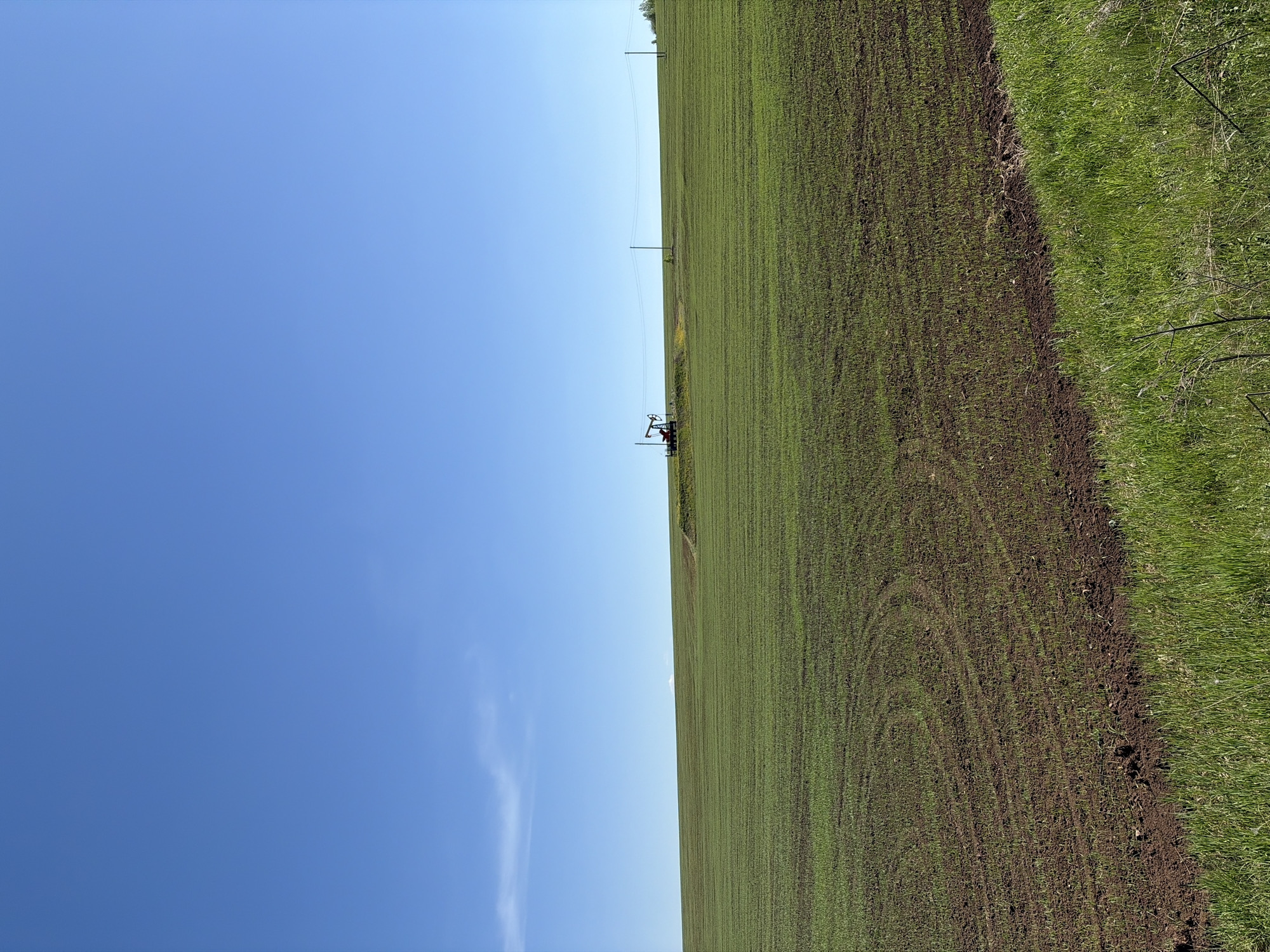 A landscape photo taken in Zvyozdny, Russia shows a broad, cultivated field in the foreground occupying the right side of the frame. The field is primarily green, with visible darker patches of soil and circular patterns suggesting tilling or planting. Tall, wild grasses define the field's edge along the right. The left side is dominated by a clear, blue sky with a few wispy clouds. In the mid-ground, there is a silhouette of an oil pumpjack. Distant power lines run along the top of the field.