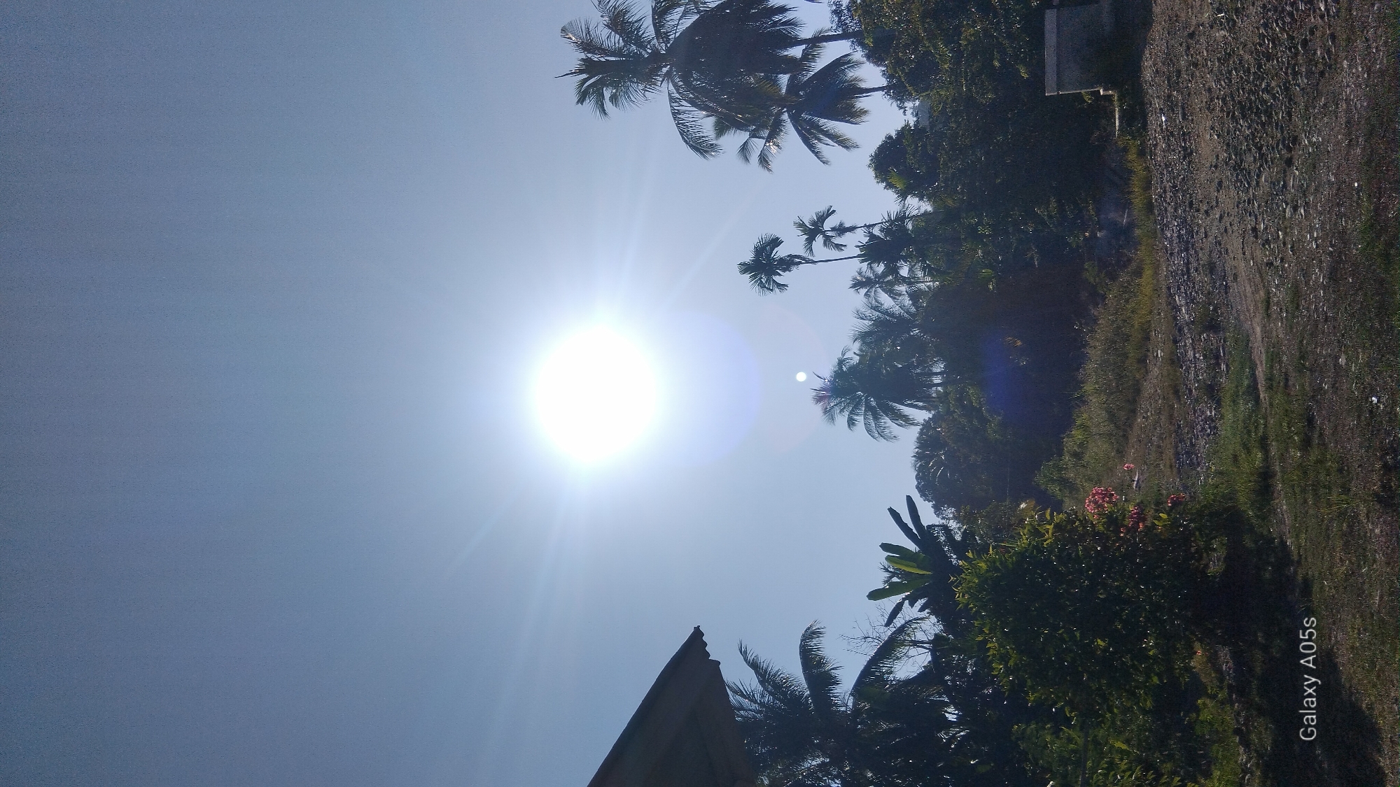 The image depicts a sunny outdoor scene, likely in Rambongpayong, Indonesia, characterized by lush tropical vegetation and a clear blue sky. The sun is prominently featured, appearing as a bright, circular orb with visible lens flare, suggesting it is mid-day. Silhouetted against the bright sky are numerous palm trees, their fronds characteristic of a tropical climate. A portion of a building's roof is visible in the upper left corner, providing a hint of human habitation. The foreground is a mix of dry, rocky ground and sparse green grass, with a more dense patch of greenery and some pink flowers on the left. In the background, a hill covered with dense trees rises behind the palm trees. The overall impression is that of a rural or semi-rural tropical landscape on a bright, clear day.