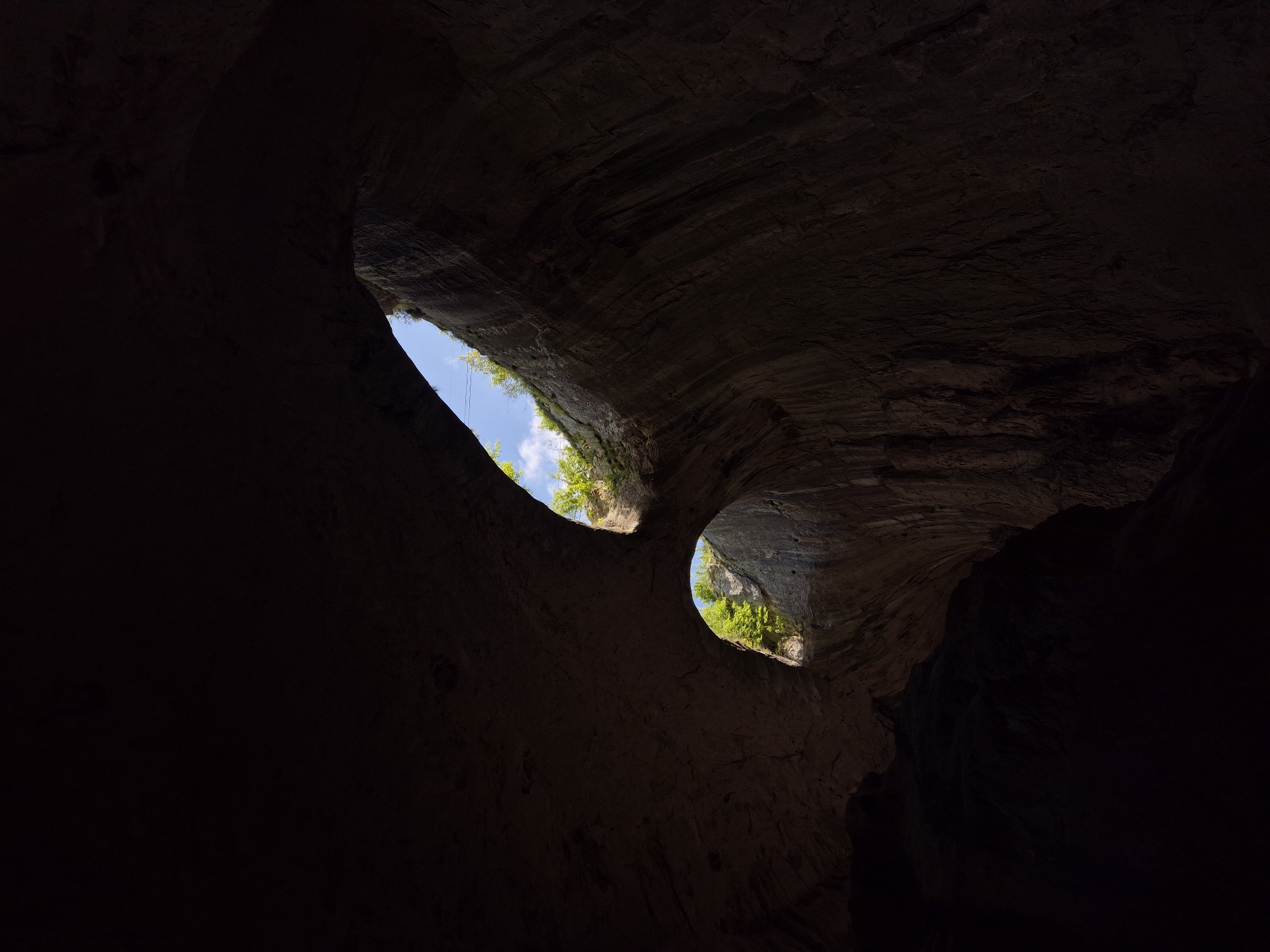 The image shows the Devetashka Cave in Bulgaria. Two openings in the ceiling of the cave are visible, allowing daylight to enter. Vegetation is visible around the edges of the openings. The cave walls are textured and appear to be made of rock. The foreground is dark due to the lack of light.