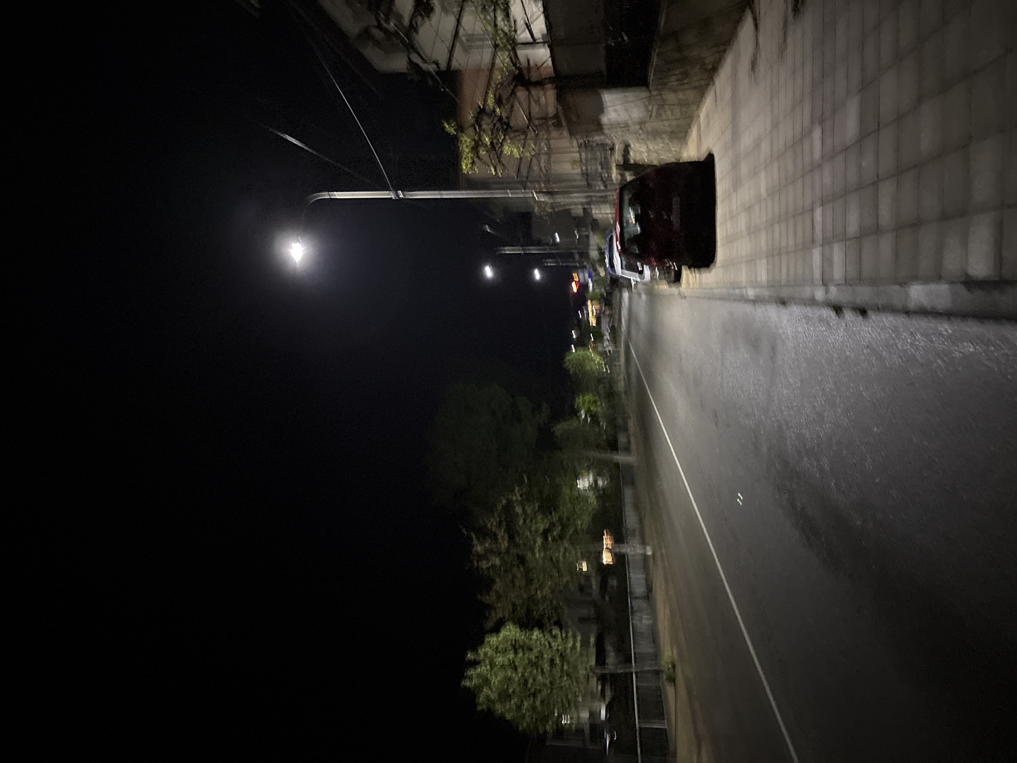 The image shows a street scene at night in Zlatograd, Bulgaria. A street lamp illuminates the wet road surface and a portion of the sidewalk. Several parked cars are visible along the right side of the road. Trees are visible along the left side of the road, with residential buildings in the background. The scene is mostly dark, with light sources limited to street lamps and building lights. The angle of the photograph suggests it was taken from a standing position on the sidewalk.