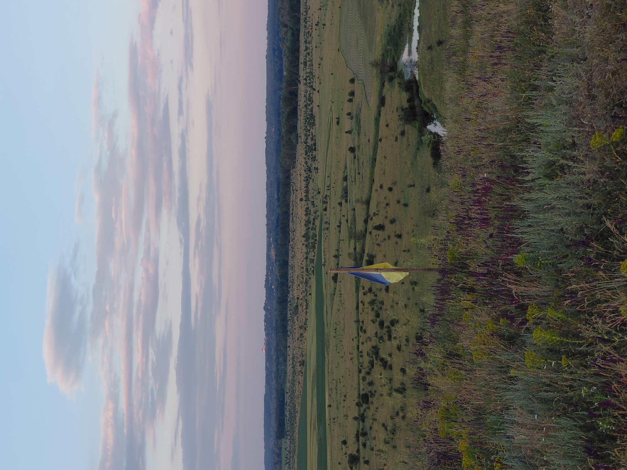 A Ukrainian flag is planted in a grassy, hilly area overlooking a vast, open landscape under a pale, cloudy sky. The flag, positioned slightly off-center to the right, is a vertical bicolor of blue and yellow. The foreground is dense with various types of green and purple wildflowers and tall grasses. Beyond the flag, the terrain slopes down into a wide valley dotted with scattered trees and patches of cultivated fields. In the distance, a thick band of dark green forest stretches across the horizon, with faint hints of buildings visible beyond it. A narrow, reflective body of water, likely a stream or small river, meanders through the valley. The overall impression is one of a rural, natural setting at dusk or dawn, with the flag symbolizing a prominent presence in the Ukrainian countryside.