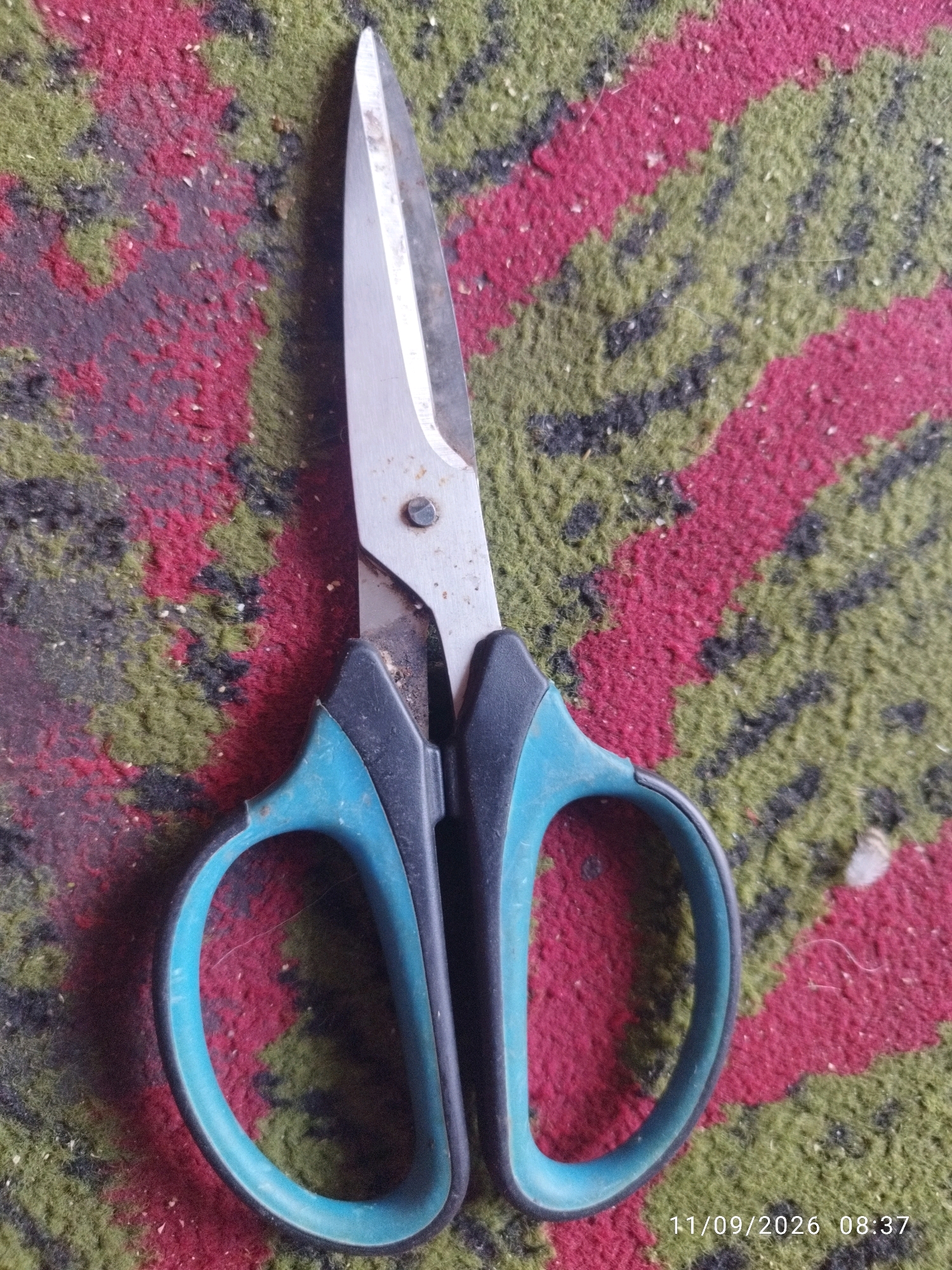 A pair of scissors lies open on a carpet with a red and green striped pattern. The scissors have silver metal blades and teal and black plastic handles. The carpet is textured and appears to be somewhat worn, with specks of debris scattered across it. A timestamp in the bottom right corner of the image reads "11/09/2026 08:37". The location is identified as Mojokerto, Indonesia.