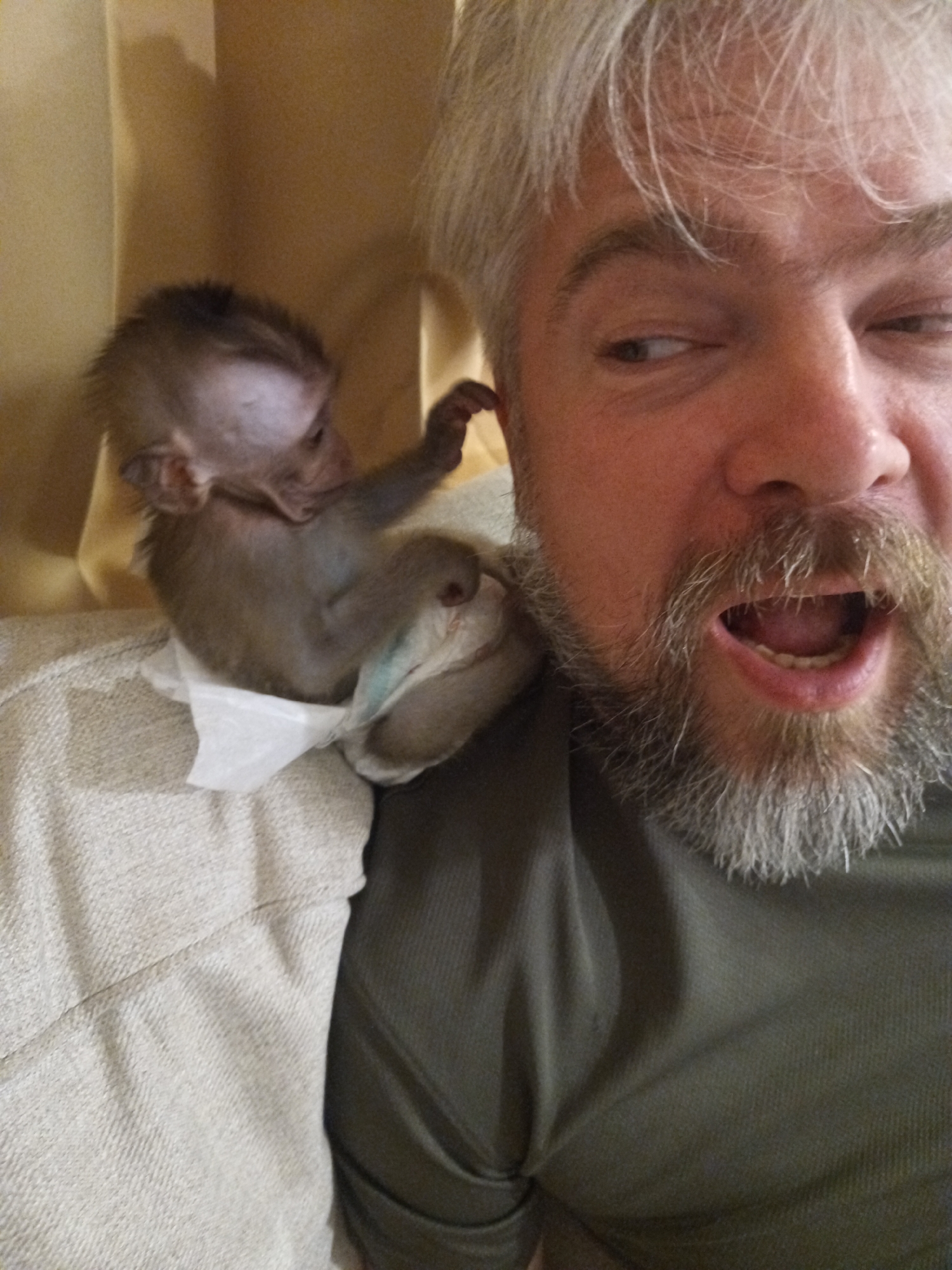 The image depicts a close-up shot of a Caucasian man with graying hair and a beard. His mouth is open in an expression of surprise. A small monkey sits on his shoulder, wearing a diaper and touching his ear. A portion of a light-colored couch is visible in the background, along with a neutral-toned curtain. The location, Baan Wang Ta Kien, Thailand, is stated, but no visual information confirms this.