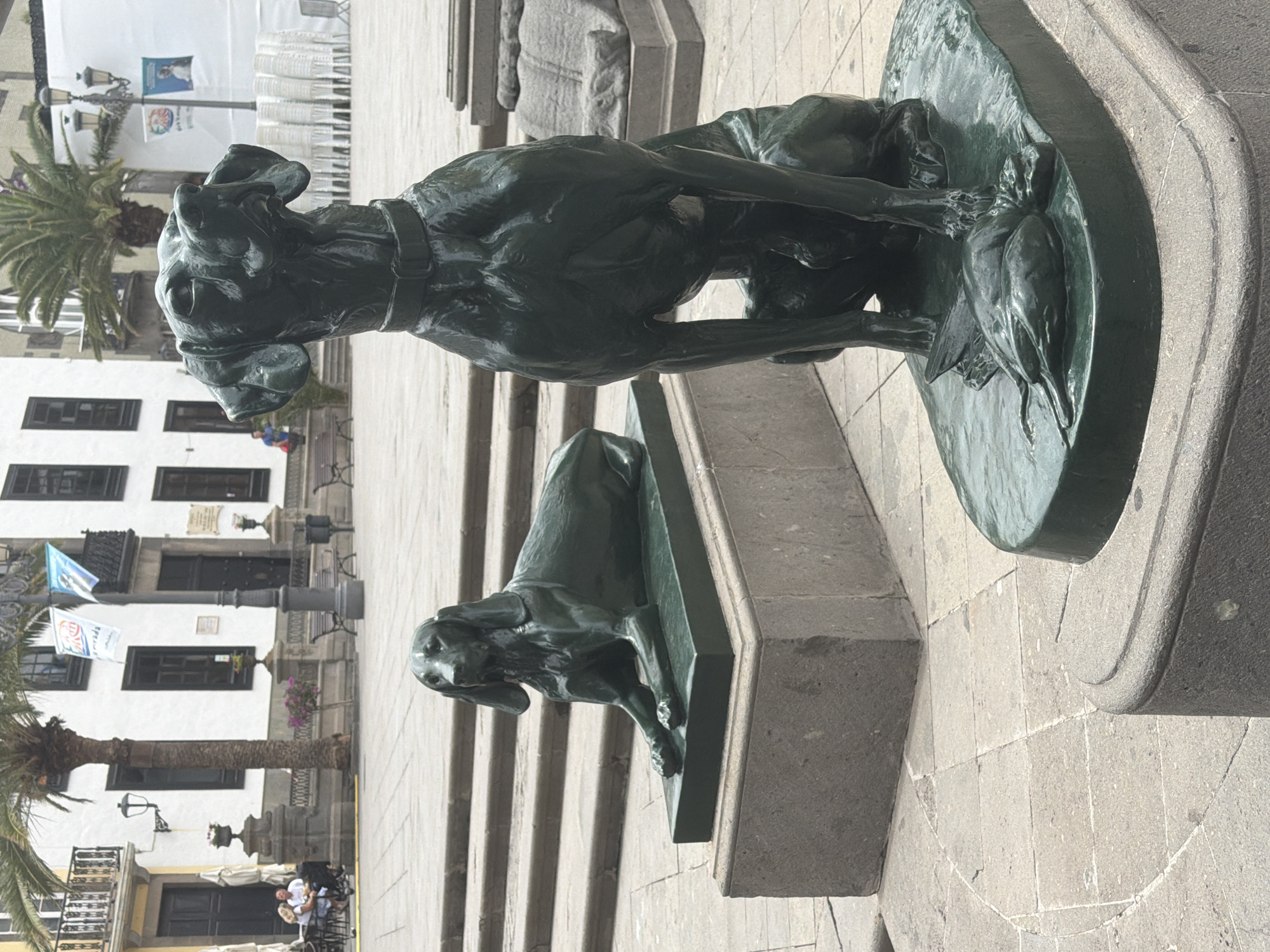 The image depicts a public square in Las Palmas de Gran Canaria, Spain, likely near the Vegueta district, characterized by its historic architecture and cobblestone paving. The foreground features two bronze sculptures of dogs. The sculpture on the right is larger and positioned closer to the viewer, depicted in a seated pose with its head slightly lowered. It rests on a dark green, rectangular base, which itself is on a larger, grey stone pedestal. At the front of this base, a smaller bronze sculpture of a bird is placed, seemingly at the feet of the dog sculpture.
To the left and further back, a second bronze dog sculpture is visible, lying down on a dark green rectangular base. This base is elevated on a grey stone block. In the background, a white building with dark-framed windows and balconies is present. Palm trees are interspersed within the scene, with one prominent palm tree near the center. Several white plastic chairs are stacked in the background, suggesting an event or outdoor seating area. People are visible in the distance, seated at tables and walking, adding a sense of everyday activity to the urban setting. Flags are hung from poles near the building. The overall ambiance suggests a pleasant, sunny day in a well-trafficked public space.