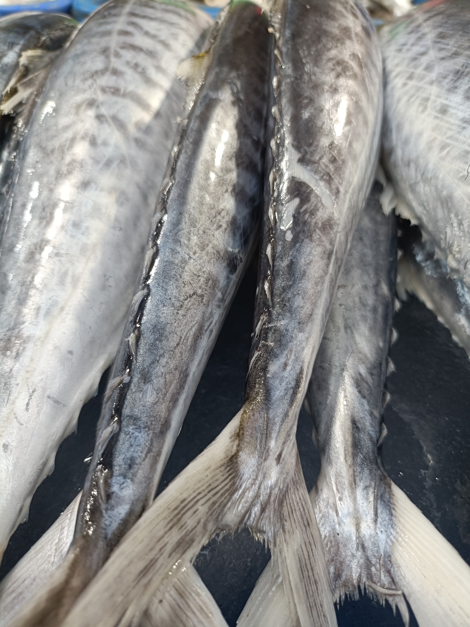 The image displays a close-up, overhead view of several freshly caught fish, likely displayed for sale in a market. The fish appear to be a type of mackerel or similar long, slender fish, with silvery-gray skin and distinct fin structures visible towards the bottom of the frame. The fish are arranged closely together, with their bodies angled towards the viewer, and their tails fanned out. The surface beneath the fish is a dark, likely wet, material, possibly a market stall or a container. The lighting suggests an outdoor or well-lit indoor market setting. The image is focused on the texture and details of the fish's scales and fins, highlighting their natural iridescence and the subtle patterns on their skin. There are no people or explicit indications of location within the image itself, however, it is implied that this scene is from a fish market in Kediri City, Indonesia.