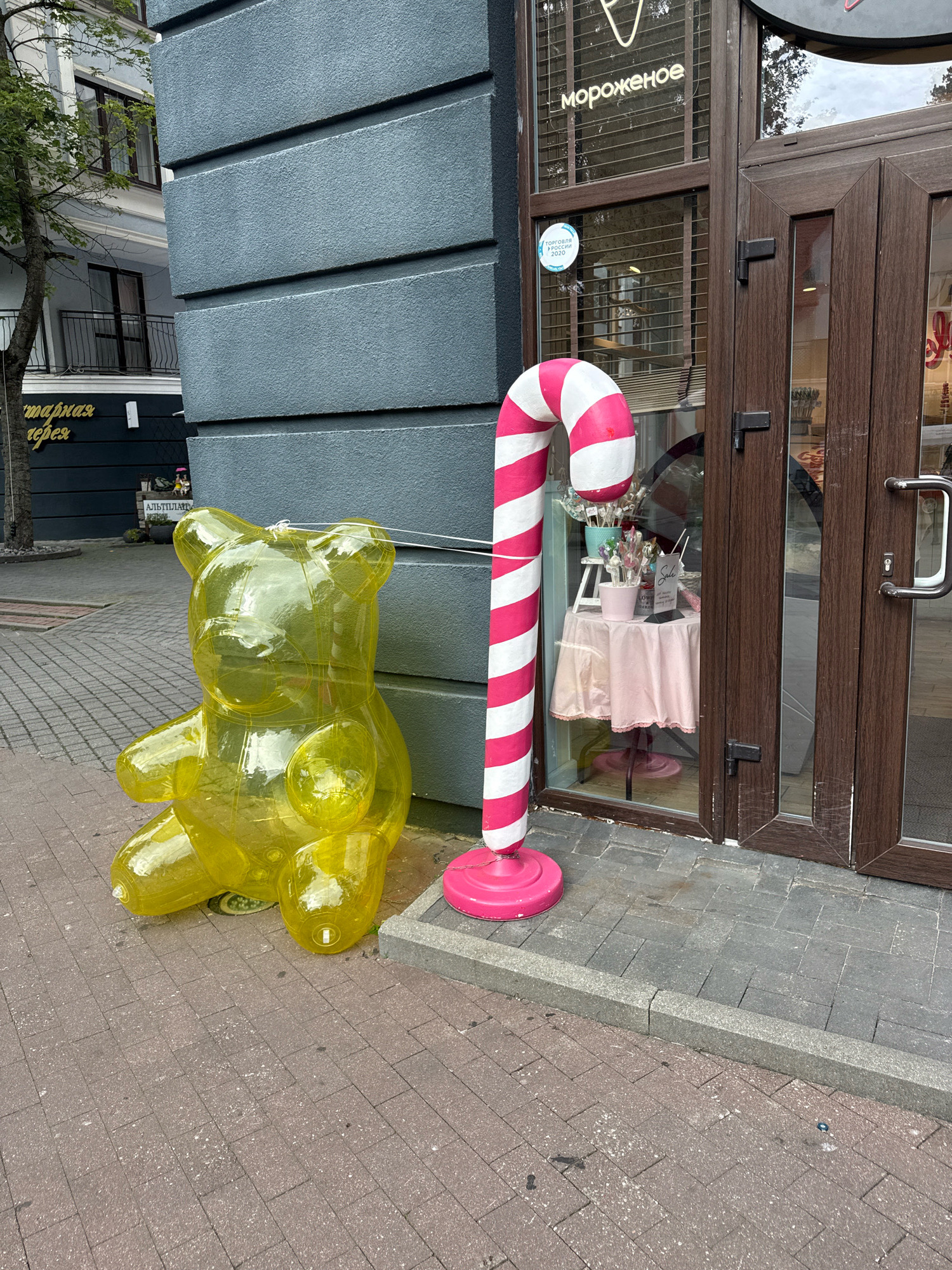 An outdoor shot features a translucent yellow inflatable bear figure positioned on a paved sidewalk. To the right of the bear is a large pink and white striped candy cane prop, which stands next to the entrance of a store. The store has a wooden door and large windows displaying merchandise, including lollipops and a small table covered with a pink tablecloth. A sign above the window reads "МОРОЖЕНОЕ" (ice cream in Russian). In the background, a building with balconies and windows is visible. The overall scene suggests a commercial area in the city of Svetlogorsk, Russia, likely in front of a confectionery or ice cream shop.