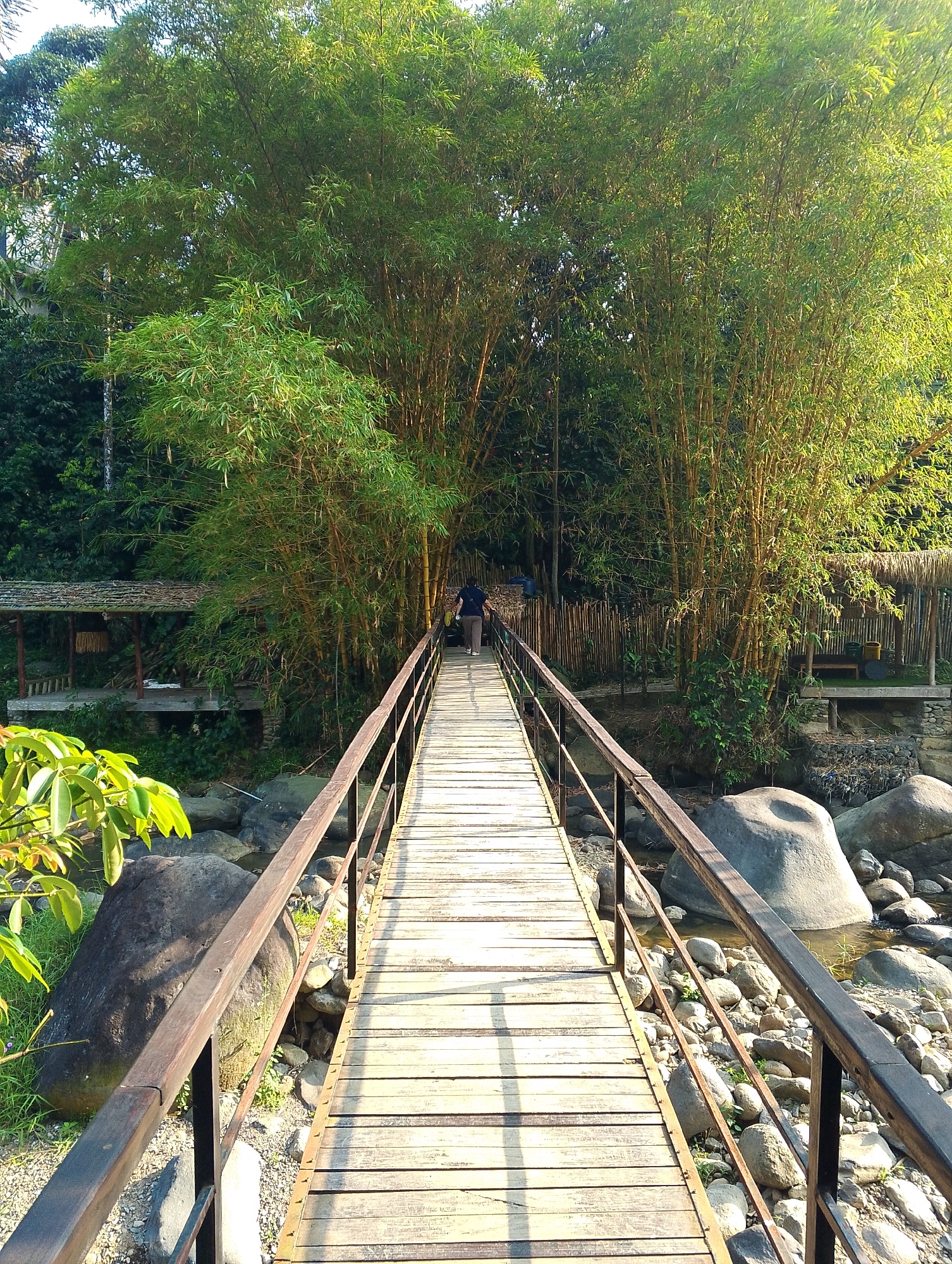 A wooden bridge with metal railings extends across a rocky riverbed towards a dense bamboo forest. A single person, wearing a dark blue shirt and brown pants, walks away from the camera on the bridge, entering the shadow of the bamboo grove. On the left side of the bridge, there is a small, open-sided structure with a thatched roof, and on the right, a similar structure is partially visible behind the bamboo. The environment is lush and green, with sunlight dappling through the leaves of the bamboo. The riverbed is filled with smooth, rounded stones and larger boulders. The scene appears to be in a natural, outdoor setting, possibly a resort or park area. The location is identified as Babakan Madang, Indonesia.